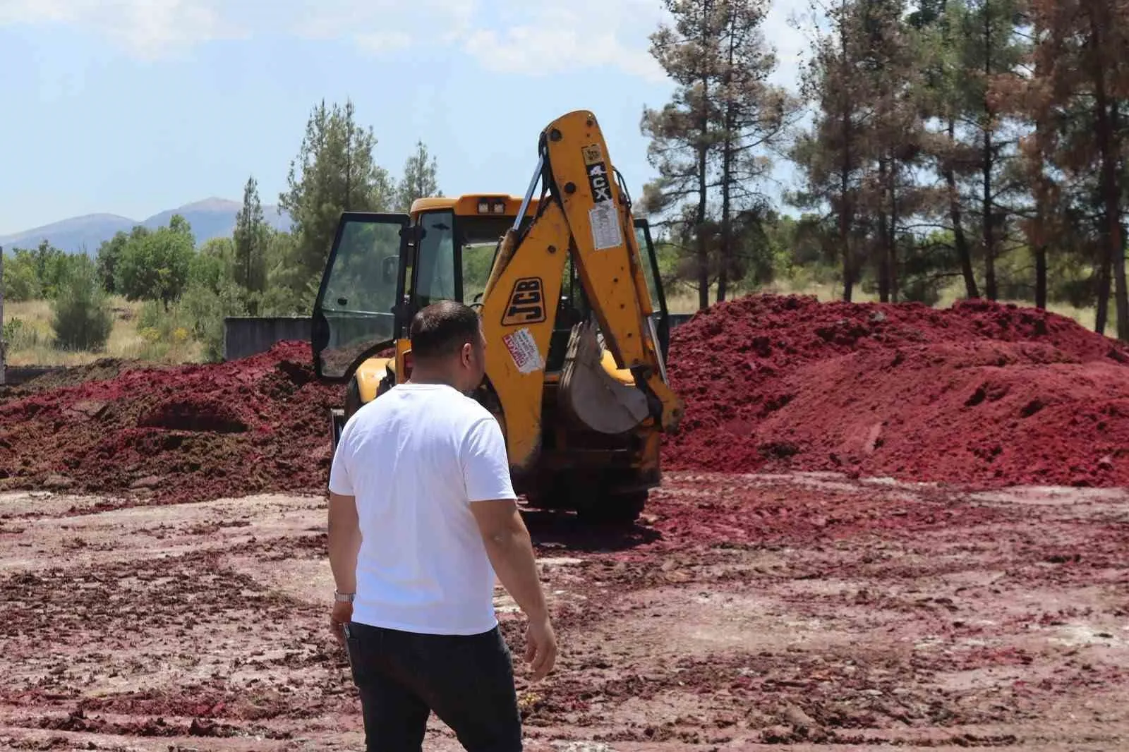 Çal'da hayvancılığa nefes aldıran hamle: Üreticiye pancar küspesi desteği