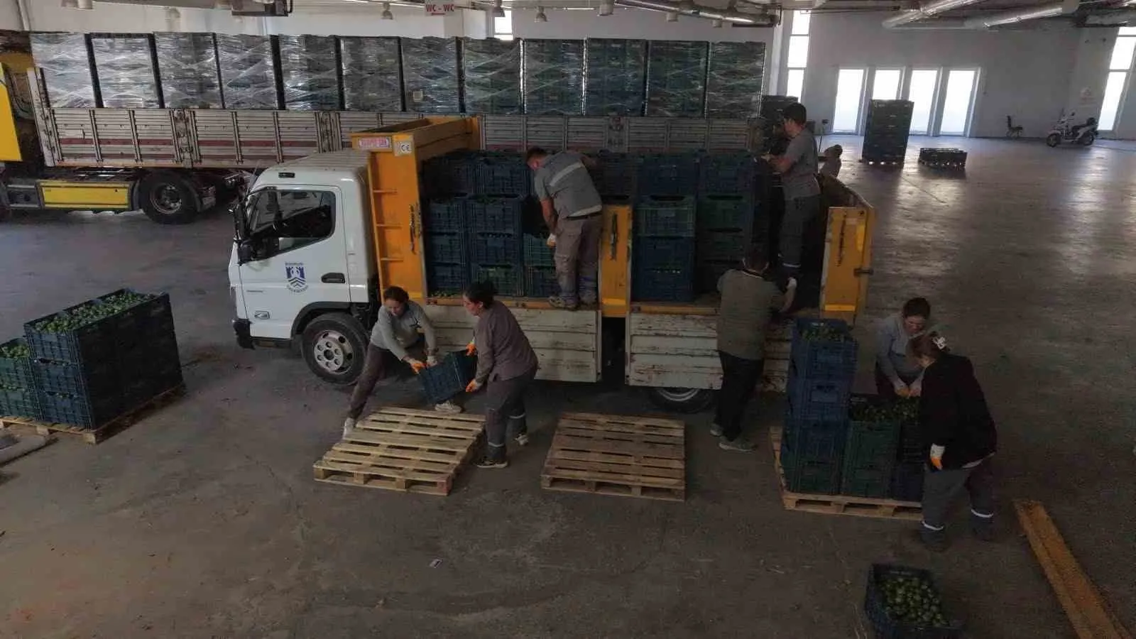 Bodrum’un yeşil hazinesi değer kazandı: 104 çiftçinin ürünü sanayiye taşındı