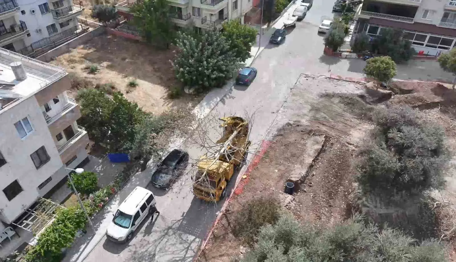 Didim'de çevreci dönüşüm: Kaykay parkı için ağaçlara yeni yuva