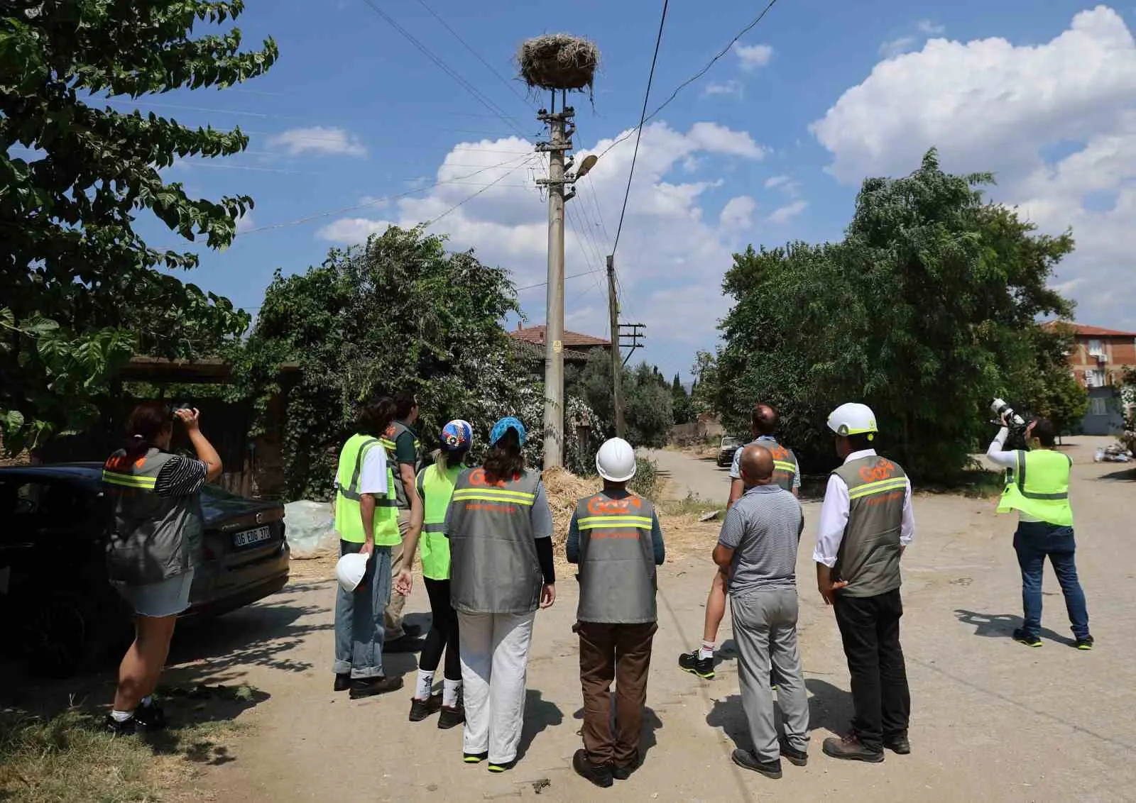Göç yollarında elektrik hatları artık kuşlar için tehlike saçmayacak