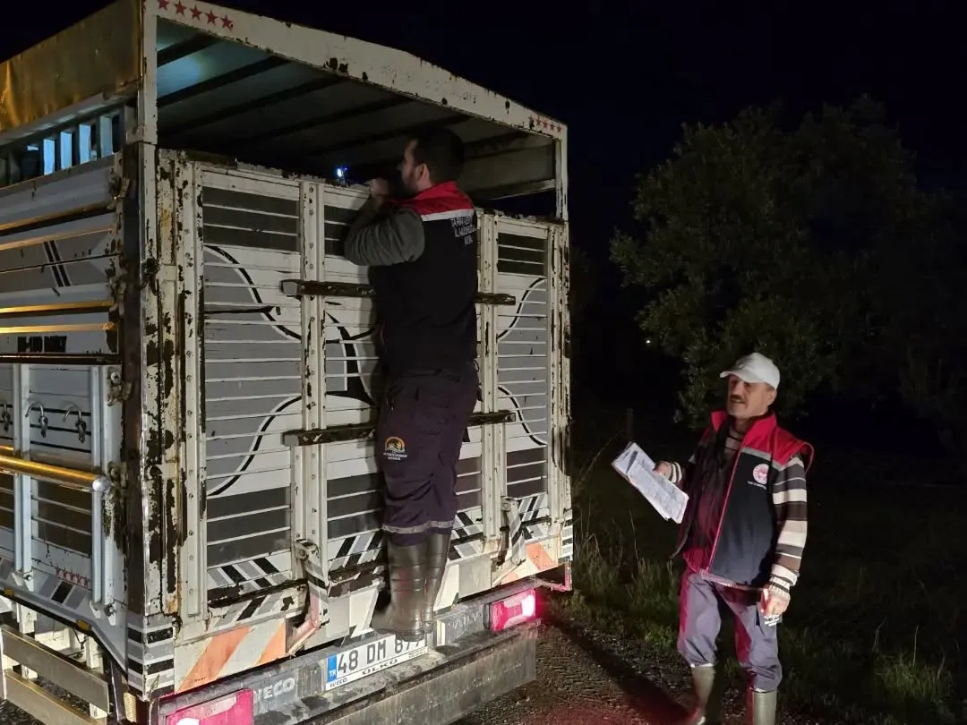 Aydın'da hayvan pazarında denetim mesaisi: Kurallara uymayanlara yaptırım kapıda