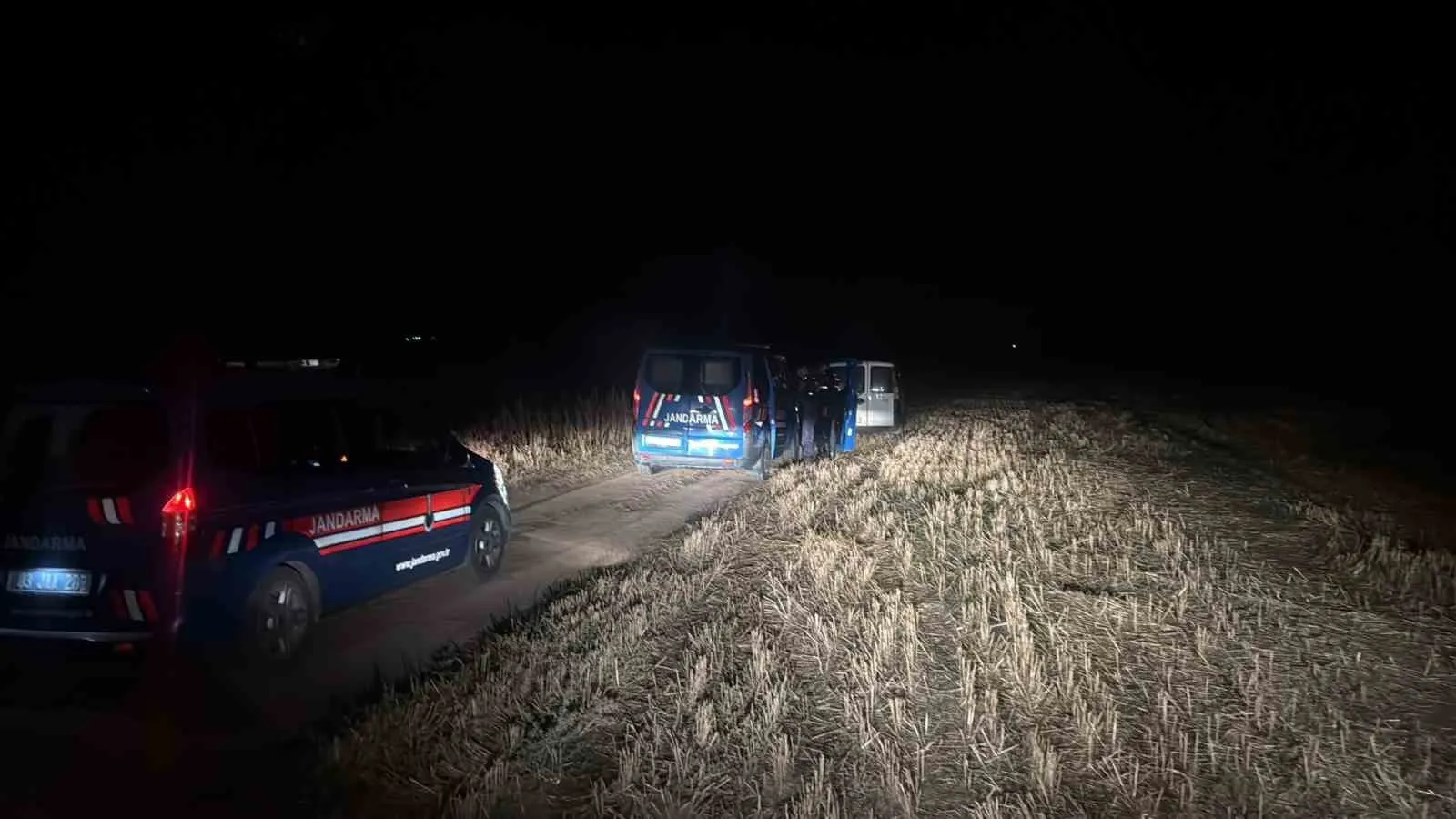 Hasat sevincini kursaklarında bıraktı: 250 kilo soğanı çalarken yakalandılar