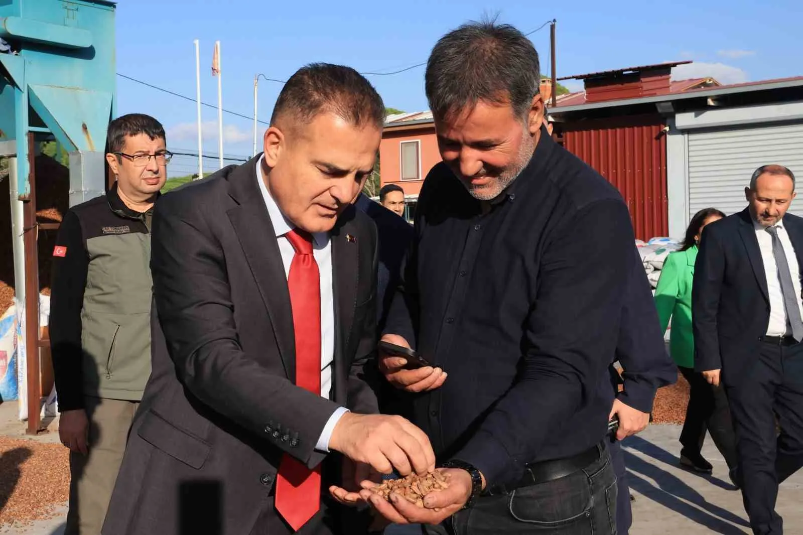 Muğla’da çam fıstığı mesaisi: Vali Akbıyık üreticinin sorunlarını yerinde inceledi