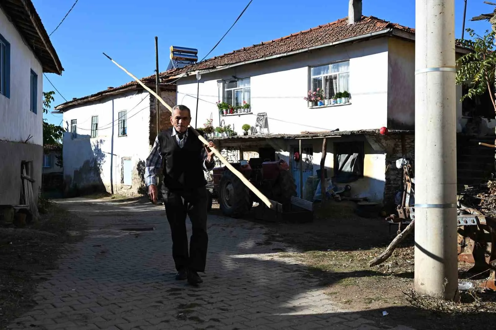 Manisa'da kestane bereketi: 1100 tonluk rekolte beklentisi üreticinin yüzünü güldürdü