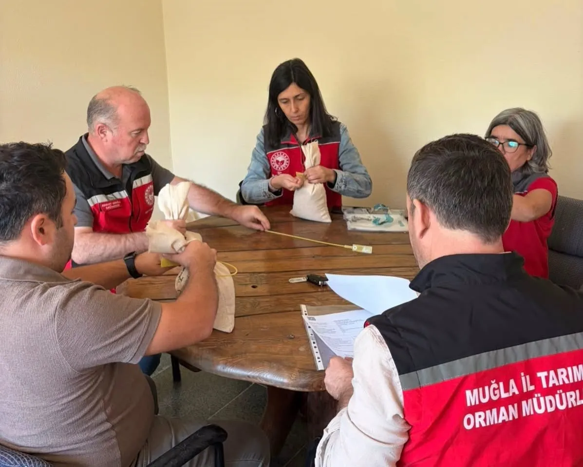Muğla’da tarımsal verim artışı için kritik adım: Yerli tohumlar sertifikalandırıldı