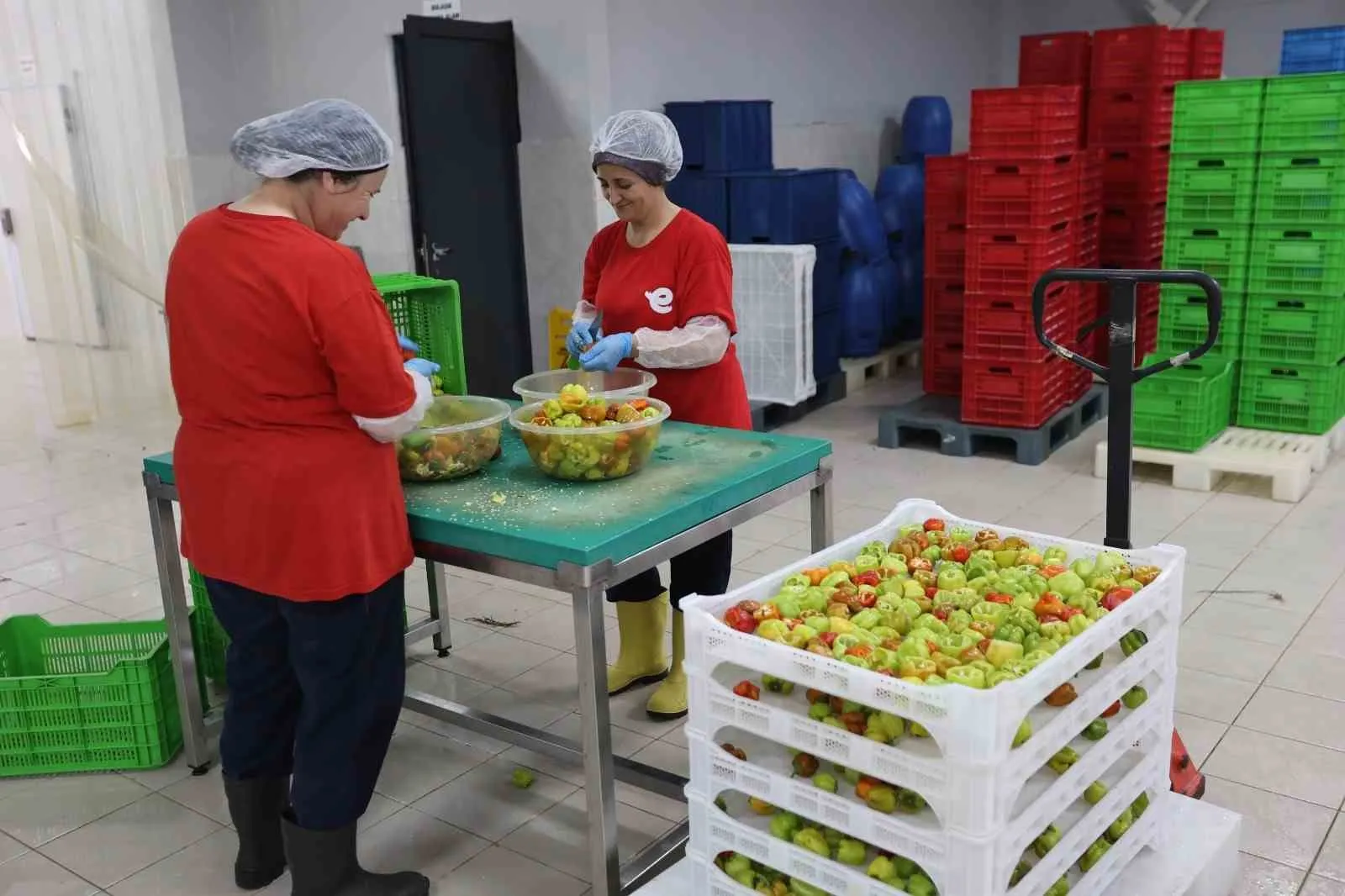 Efeler'in bereketli toprakları kadınların ellerinde değer kazanıyor: 63 çeşit lezzet sofralara ulaşıyor