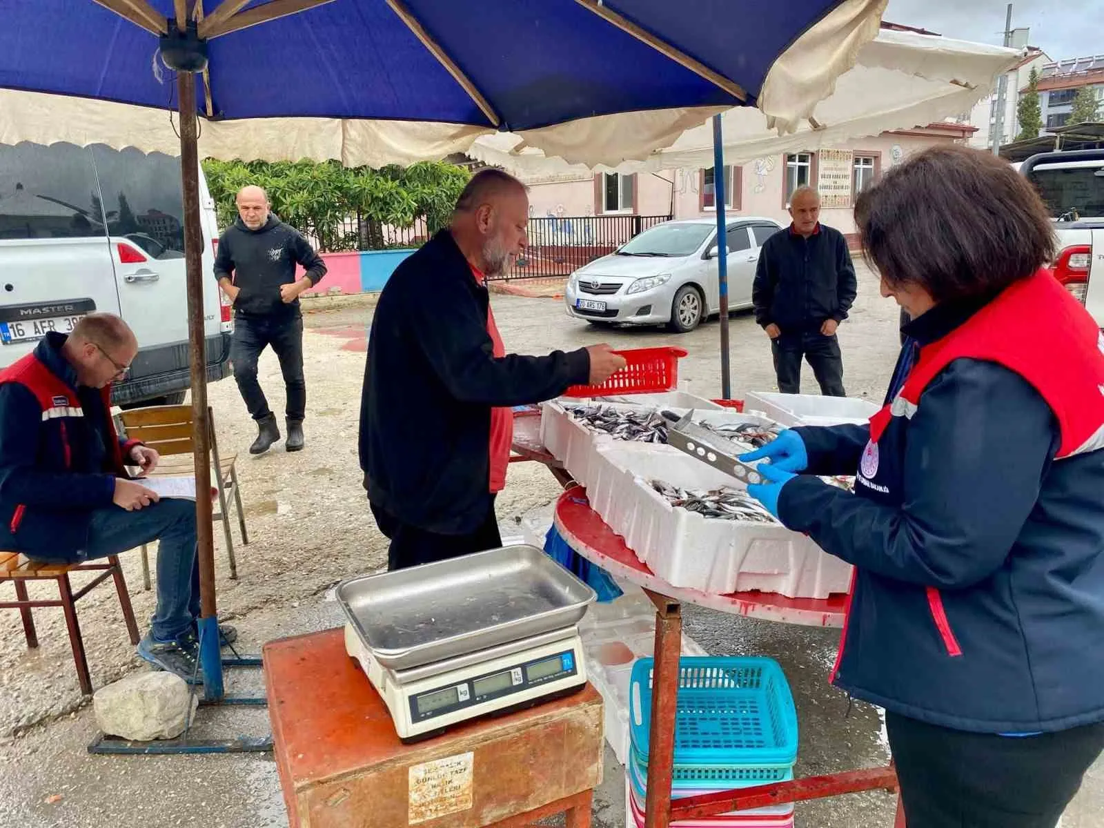 Dazkırı’da balık tezgahlarında denetim mesaisi: Sağlıklı tüketim için tam not arayışı