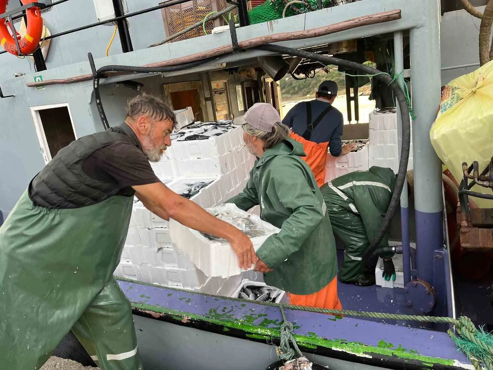 Didim’de balıkçılıkta yeni dönem: Hamsi avına sıkı takip