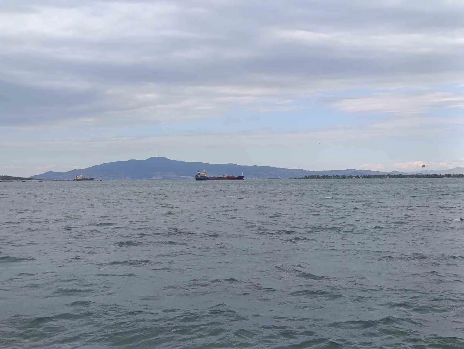 Aliağa'da deniz küstü: Poyraz balıkçıları kıyıya hapsetti