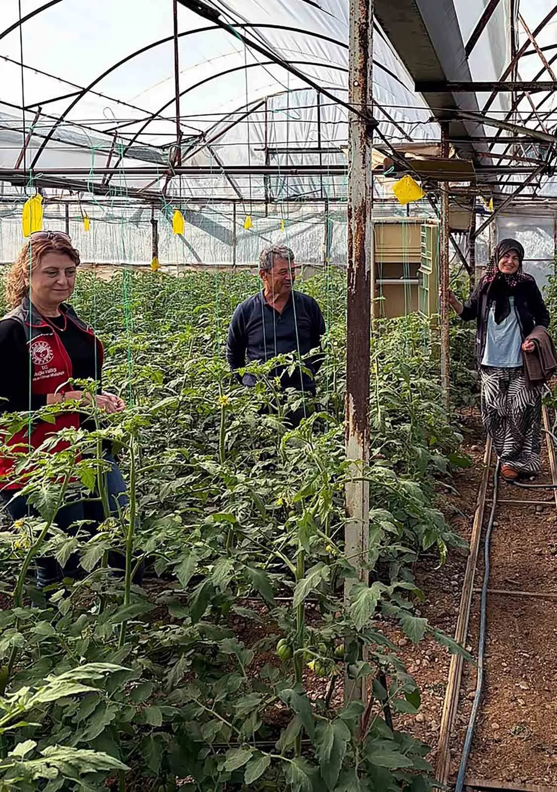 Dalaman’da tarımda kalite seferberliği: Uzmanlar seraları tek tek denetliyor