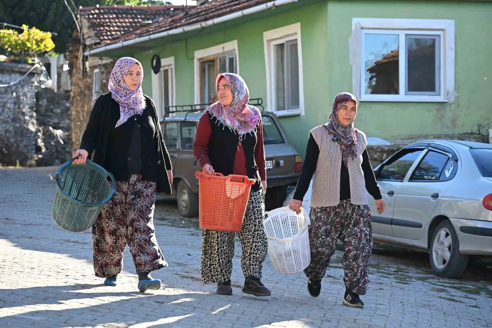 Manisa'da kestane bereketi: 1100 tonluk rekolte beklentisi üreticinin yüzünü güldürdü