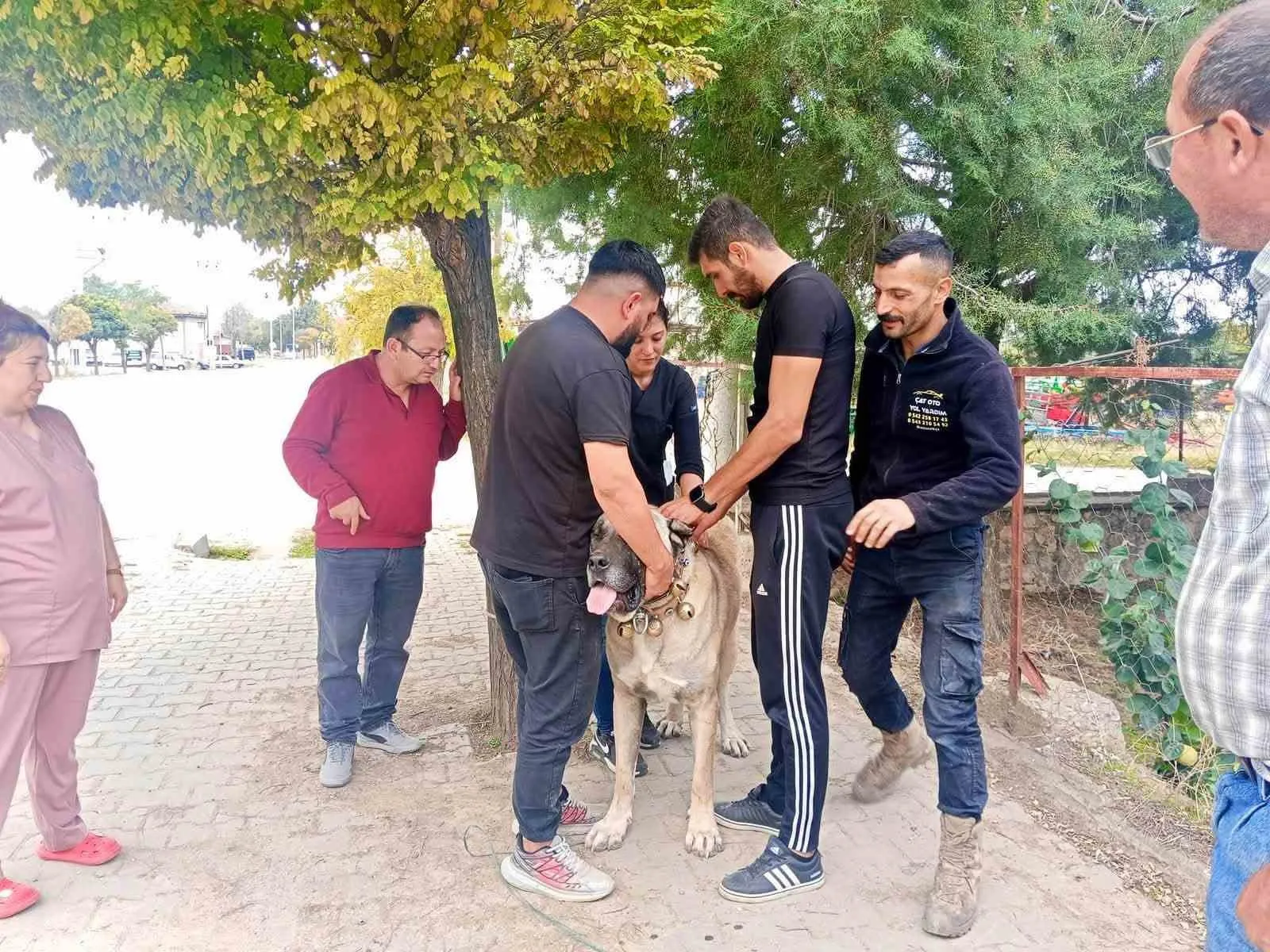 Başmakçı’da evcil dostlar için yeni dönem: Mikroçip ile kayıt altına alınıyorlar