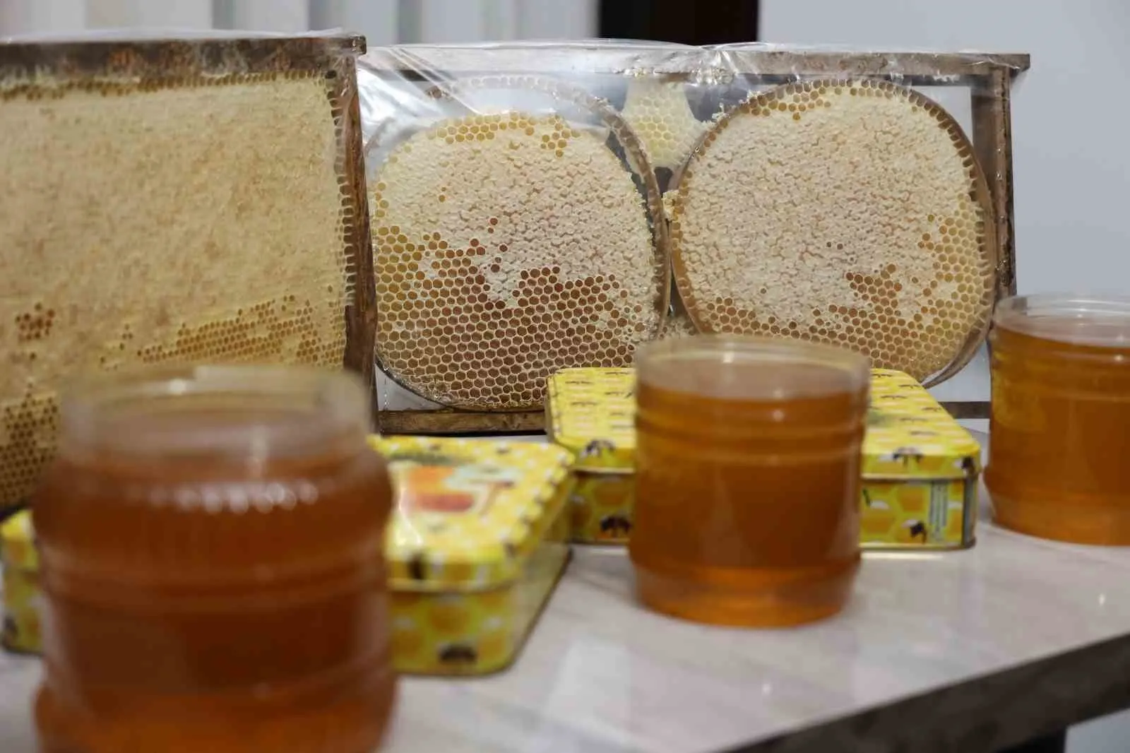 Çam balında sağım vakti: Kuşadası’nda altın sarısı hasat başladı