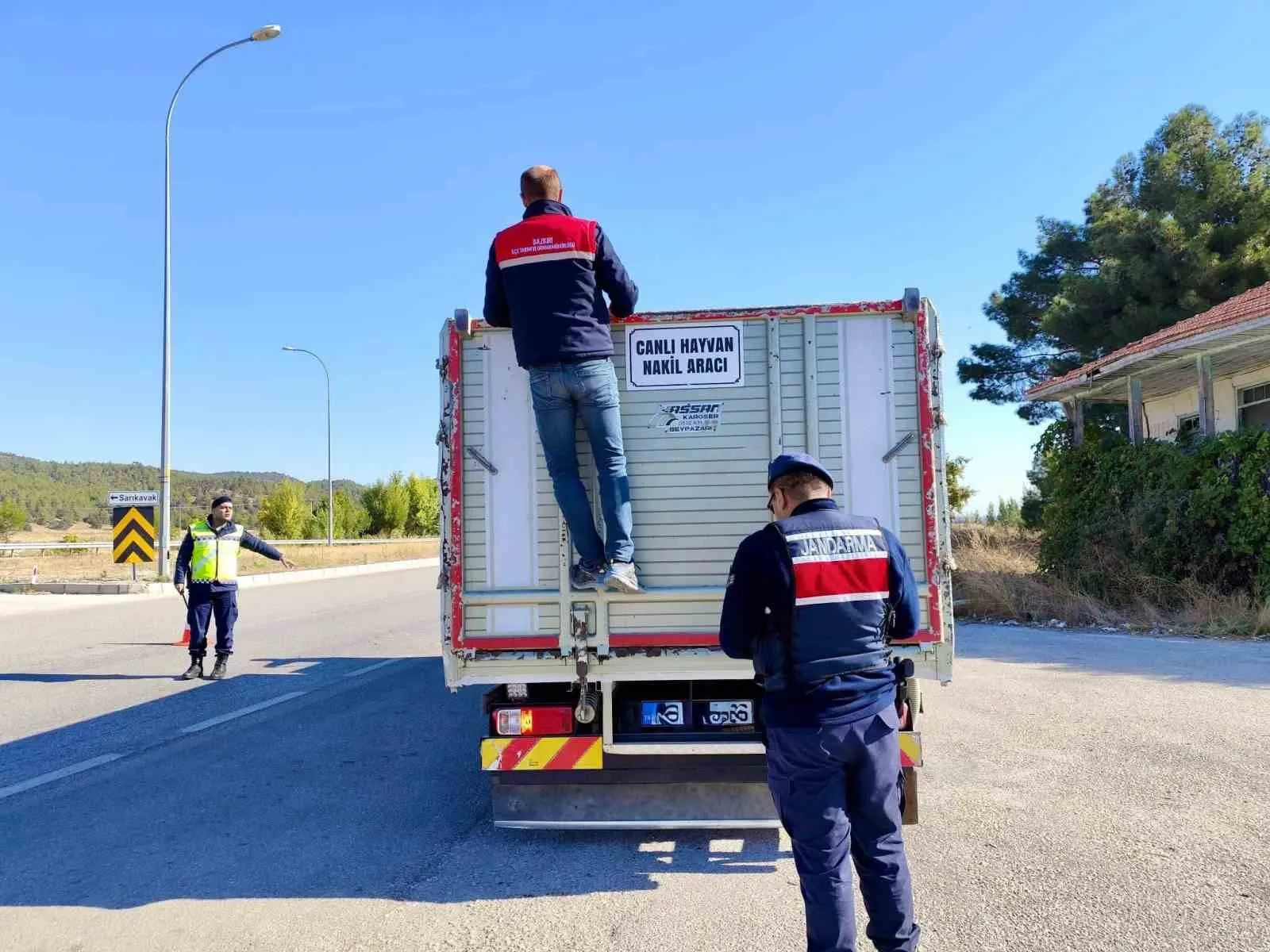 Dazkırı’da hayvan sevkiyatına yakın takip: Ekipler sahaya indi