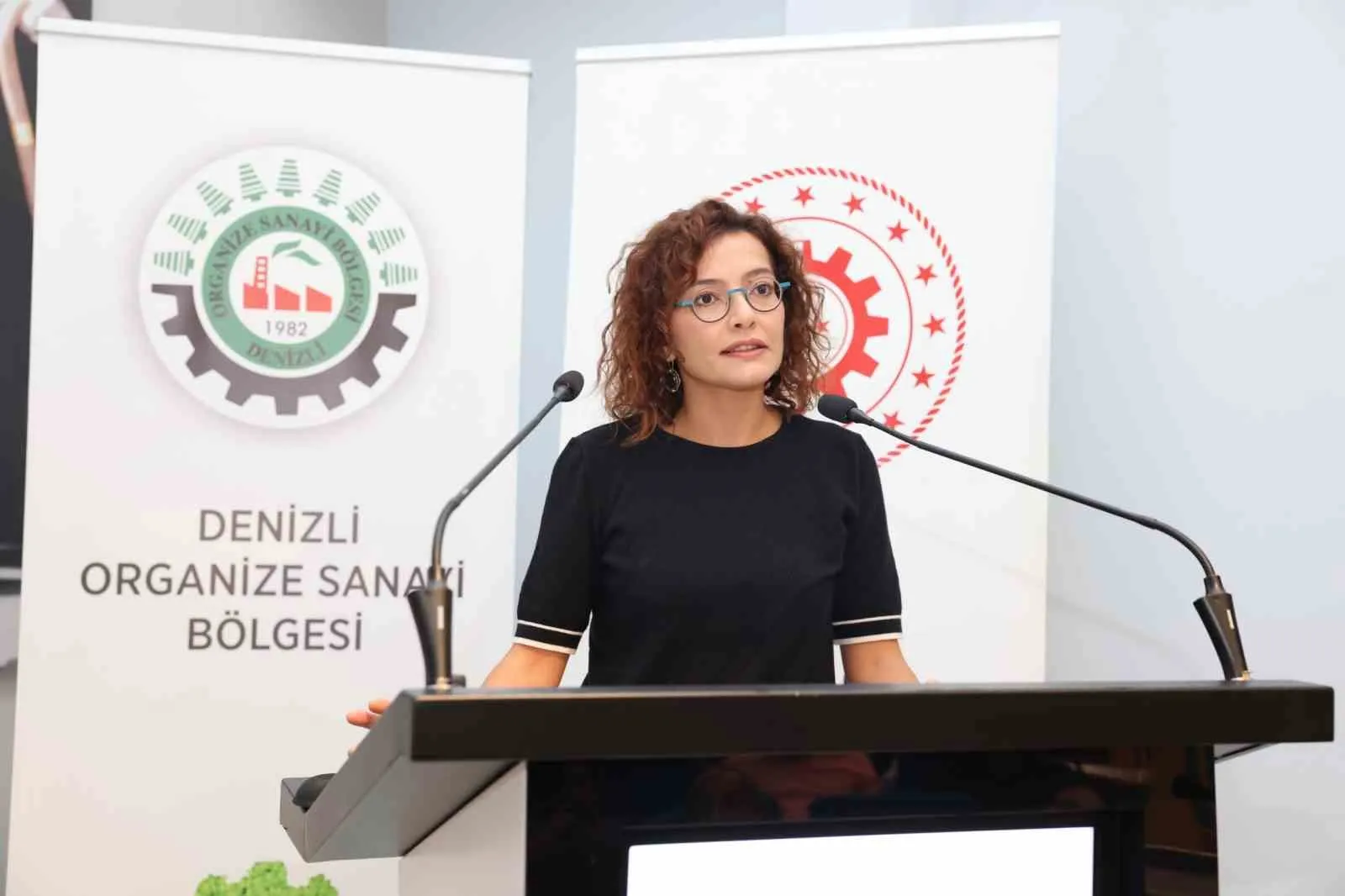 Denizli sanayicisine devlet desteği rehberi: Yatırımın önündeki engeller kalkıyor