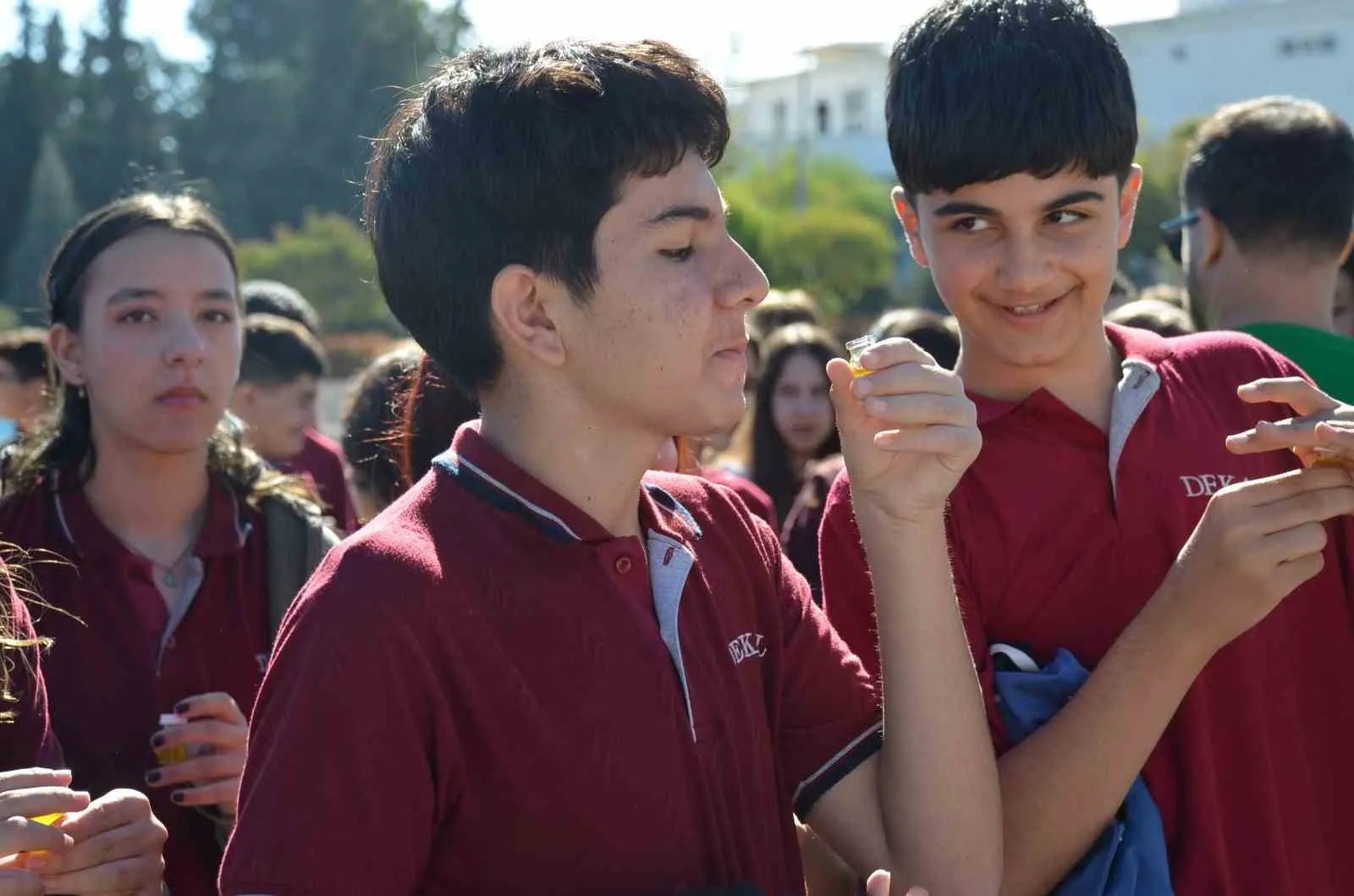 Didim’de zeytin şöleni: Tarihi tapınakta dev rekor denemesi
