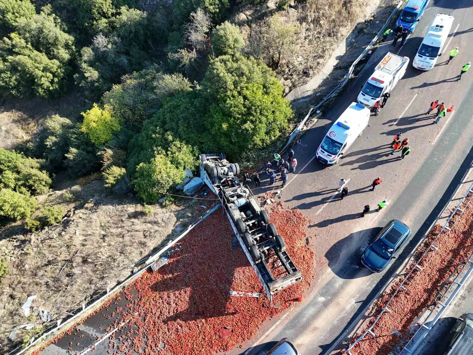 Uşak’ta feci kaza: Domatesler yola saçıldı, otobüs bariyerlere saplandı