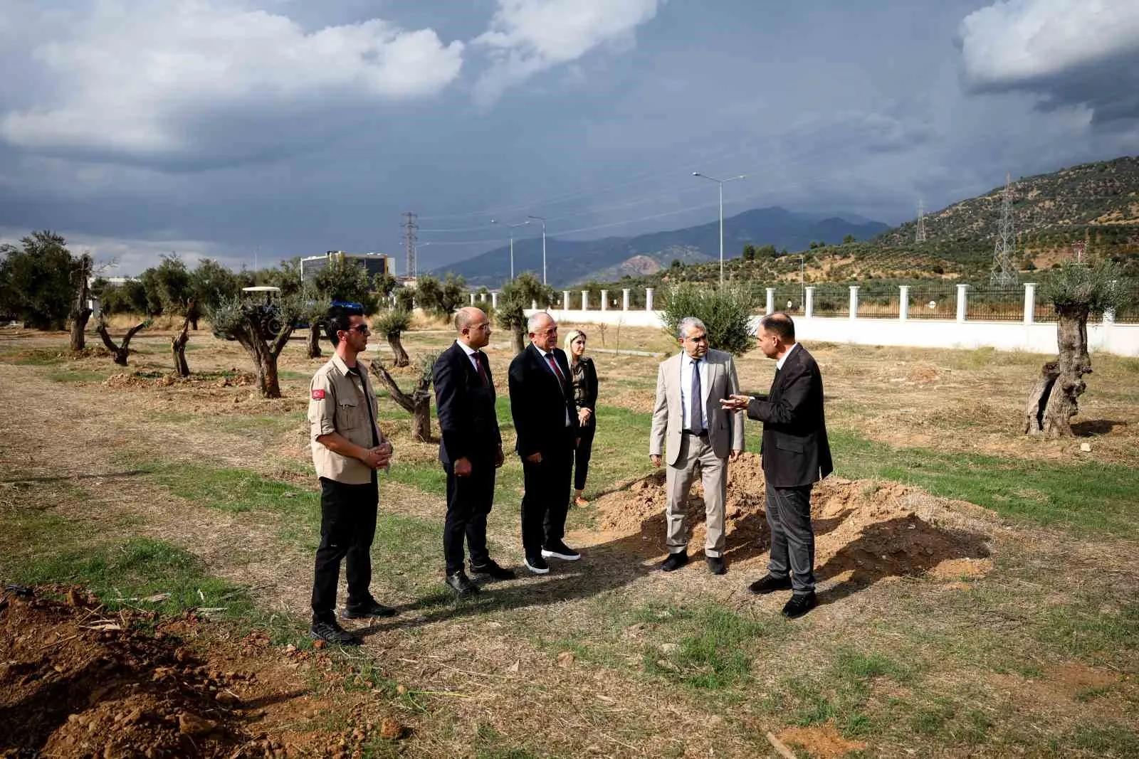 Tarihin tanıkları kampüste yeniden filizleniyor: Nysa’nın zeytin ağaçlarına ADÜ sahip çıktı