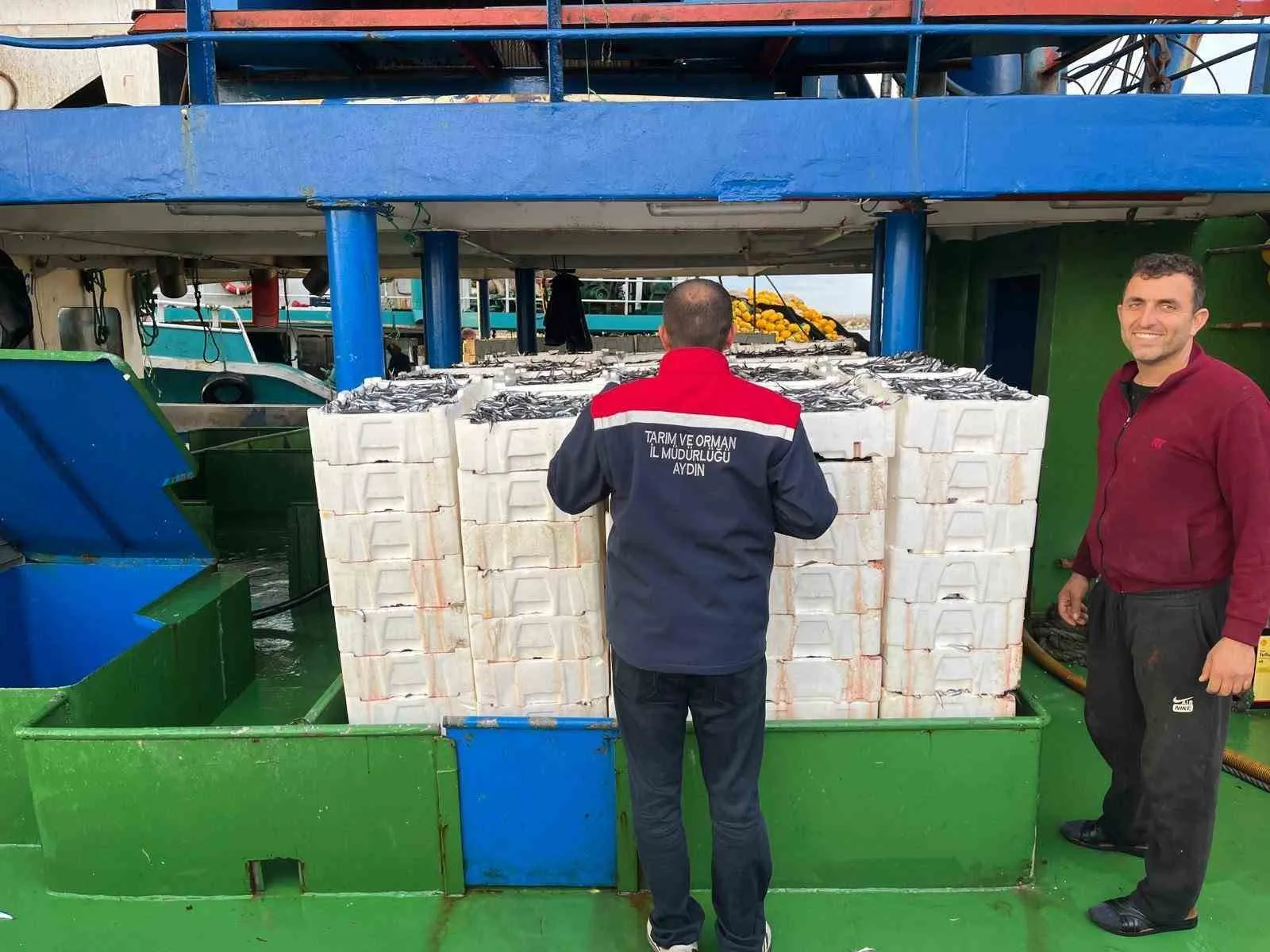 Didim’de balıkçılıkta yeni dönem: Hamsi avına sıkı takip