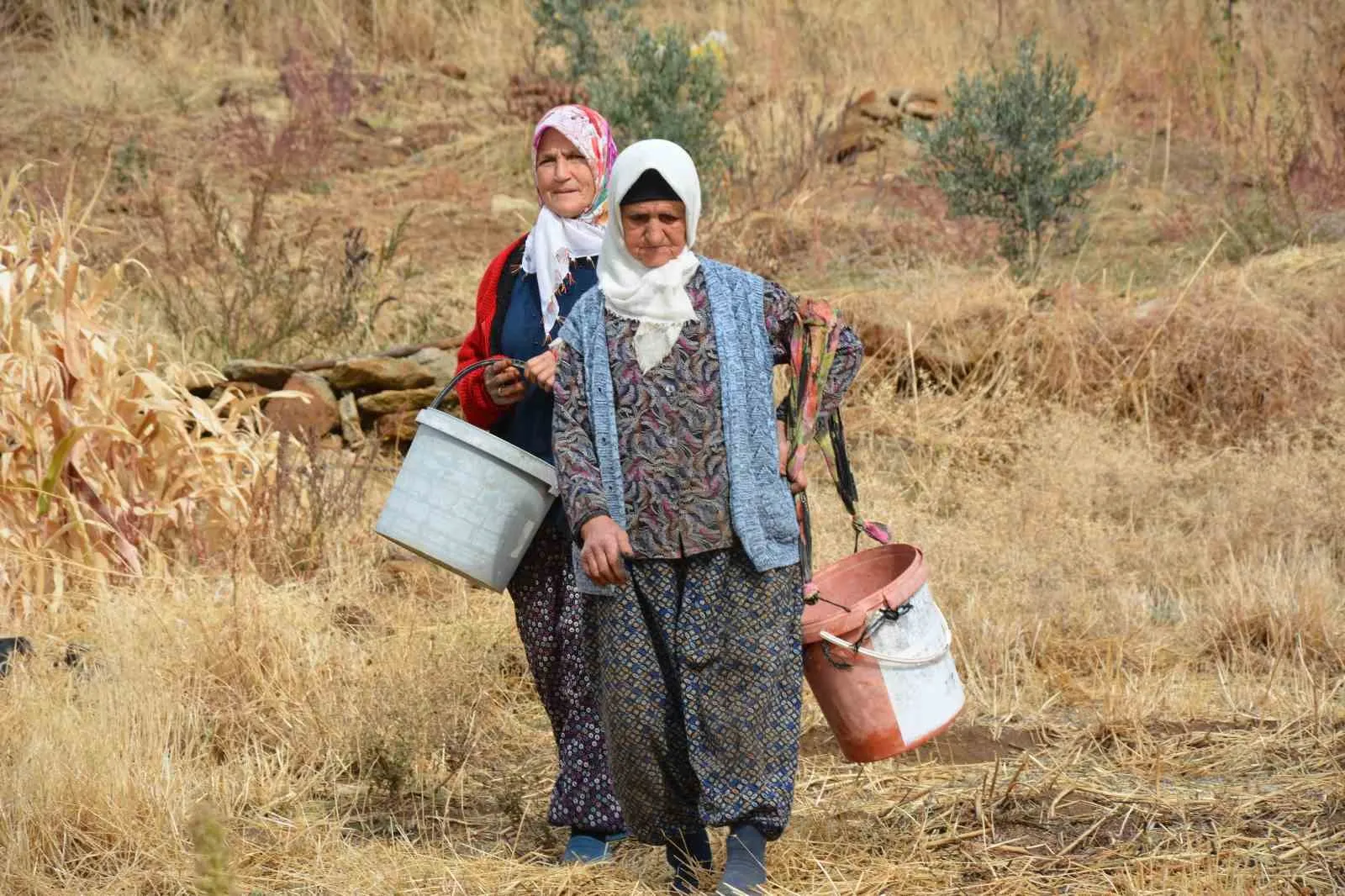 Manisa’nın gizli hazinesi: Dağlardan toplanan çitlembikler sanayiye hayat veriyor