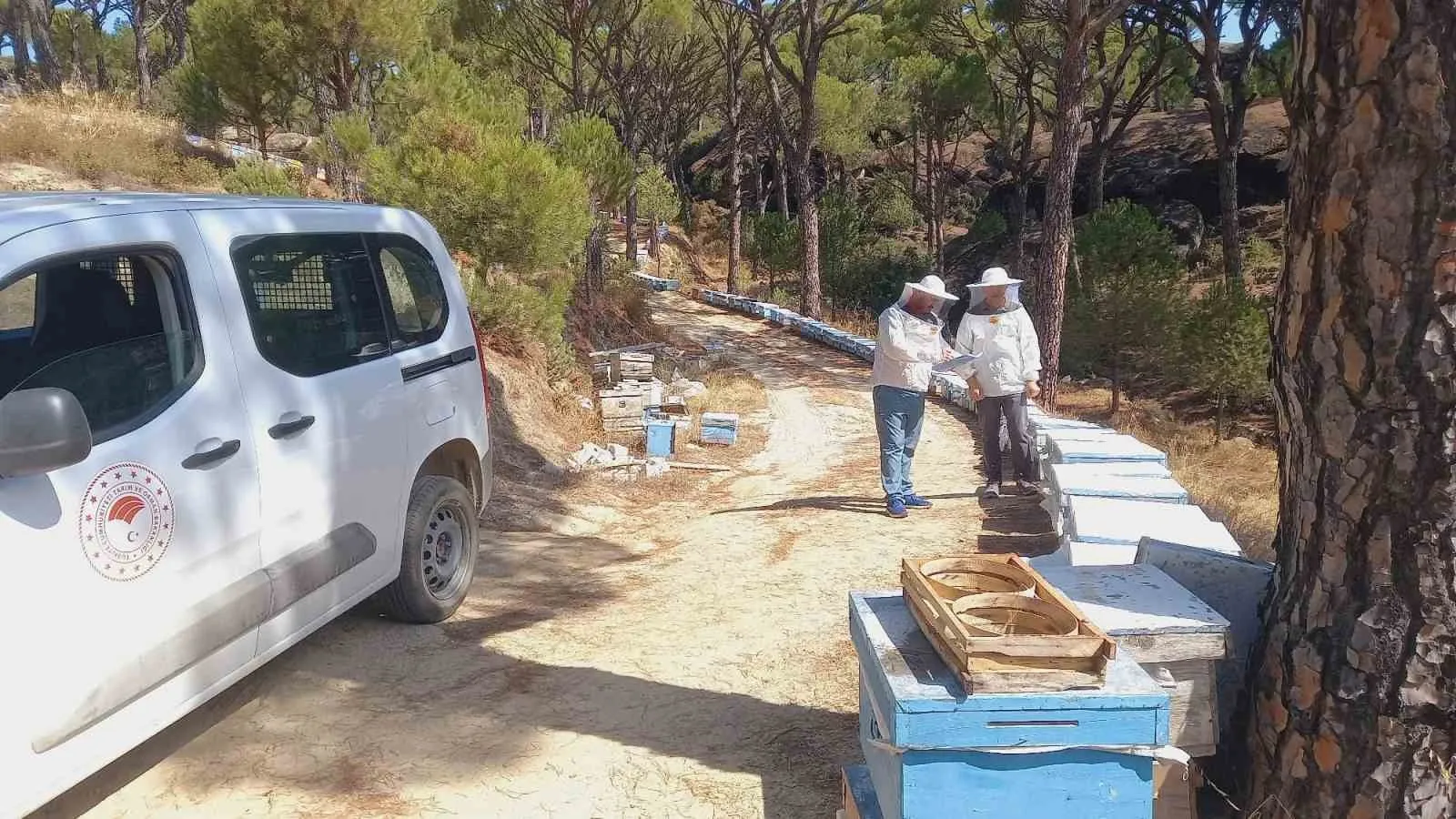 Bozdoğan’da arıcılıkta yeni dönem: Kovanlar tek tek kayıt altına alınıyor