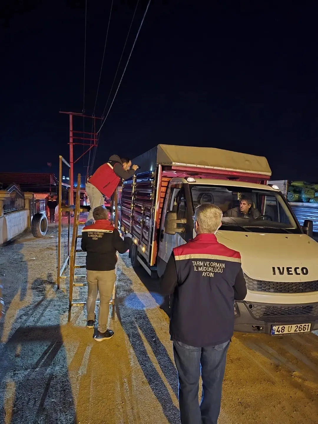 Nazilli'de hayvan pazarına sıkı takip: Eksik evrakı olana geçit yok