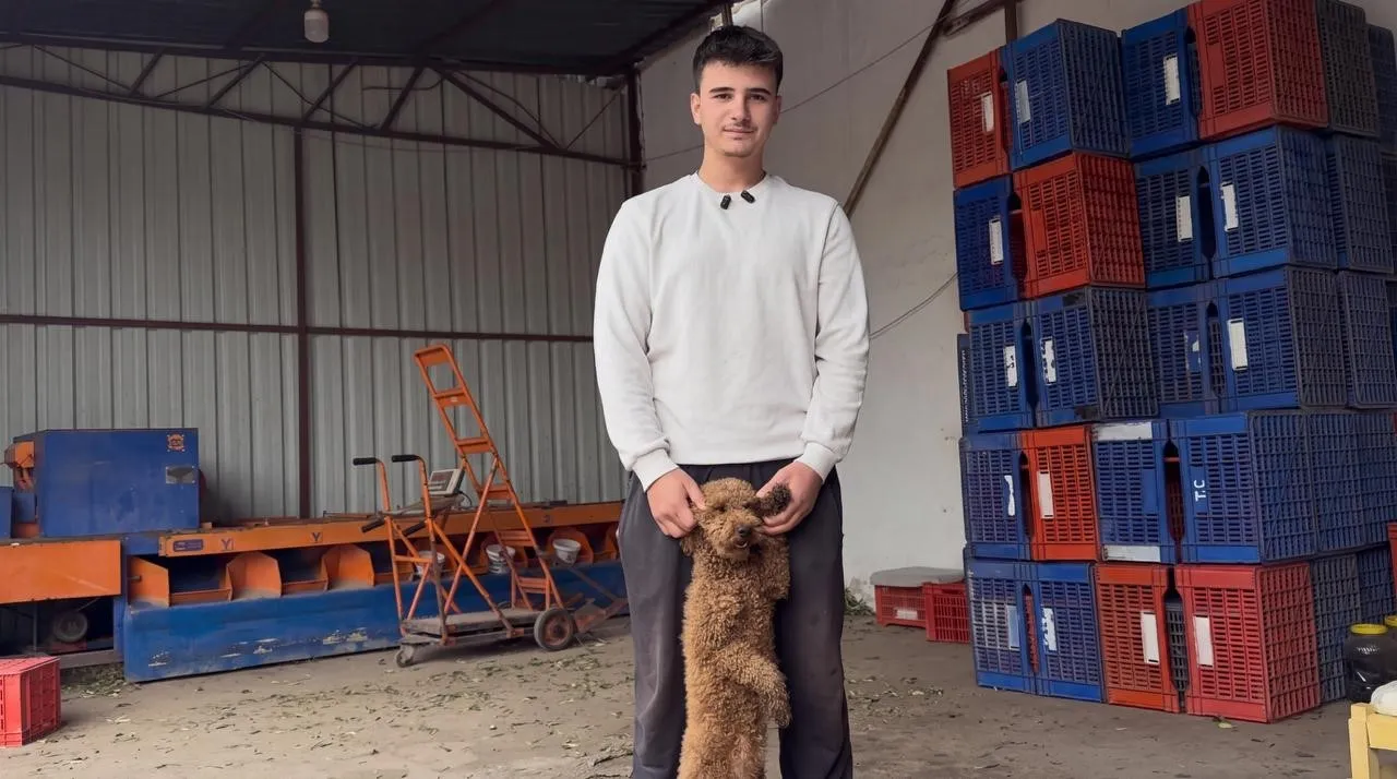 Akhisar’da o görüntüler gündem olmuştu: Nohut’un sahibi sessizliğini bozdu