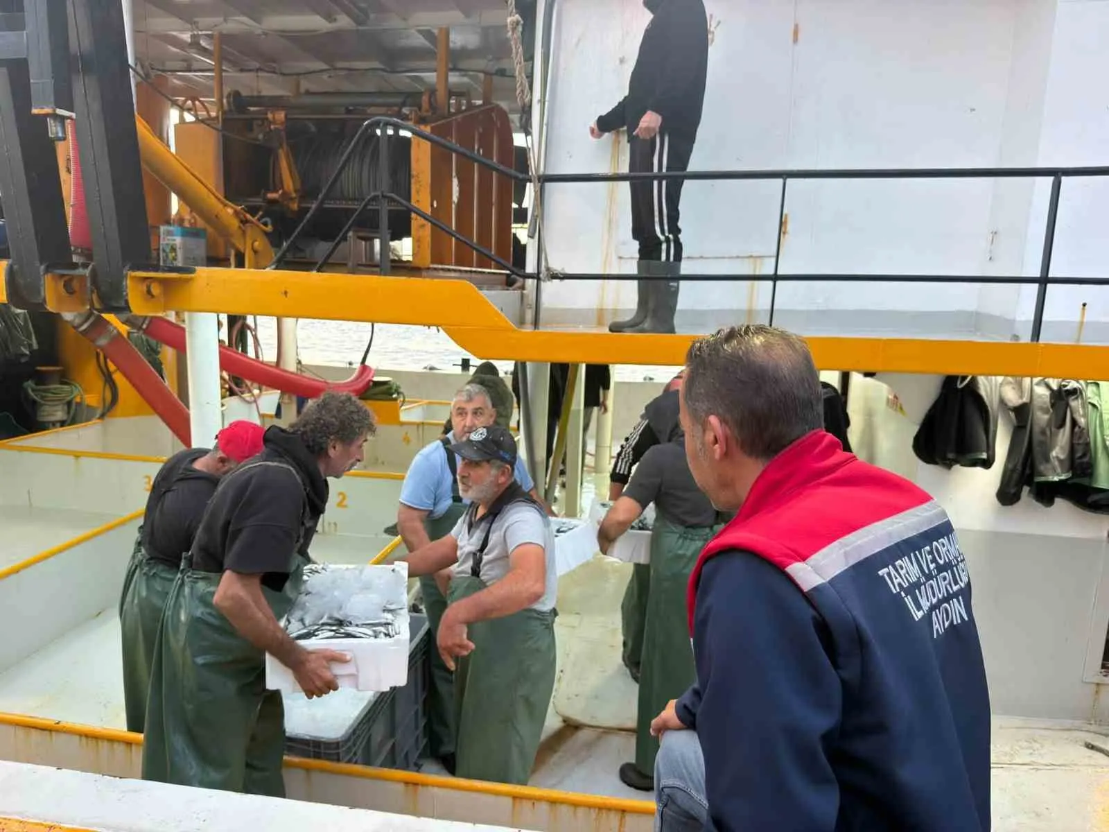 Didim’de hamsi avına sıkı takip: Ekipler denetimlerini artırdı