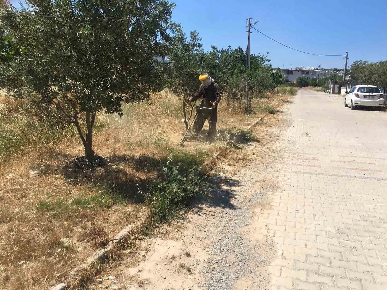 Didim'de yeşil alanlara estetik dokunuş: Başkan Gençay'dan temizlik seferberliği