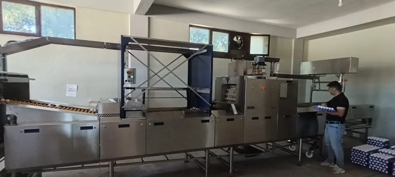 Tavşanlı ekonomisine yumurta üretiminde dijital devrim