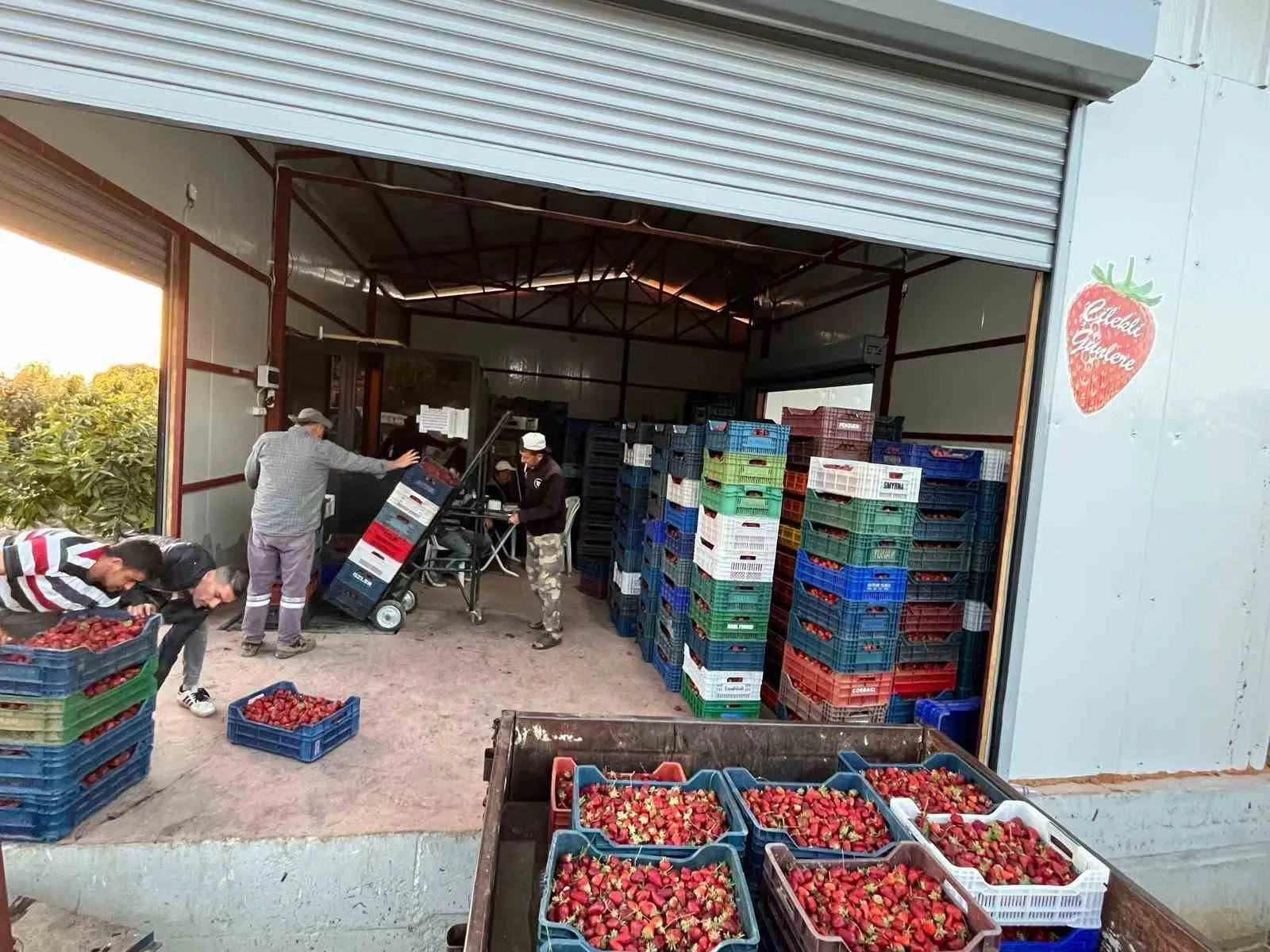 Manisa'nın gizli lezzet rotası: Gökeyüp'te kimyasala yer yok