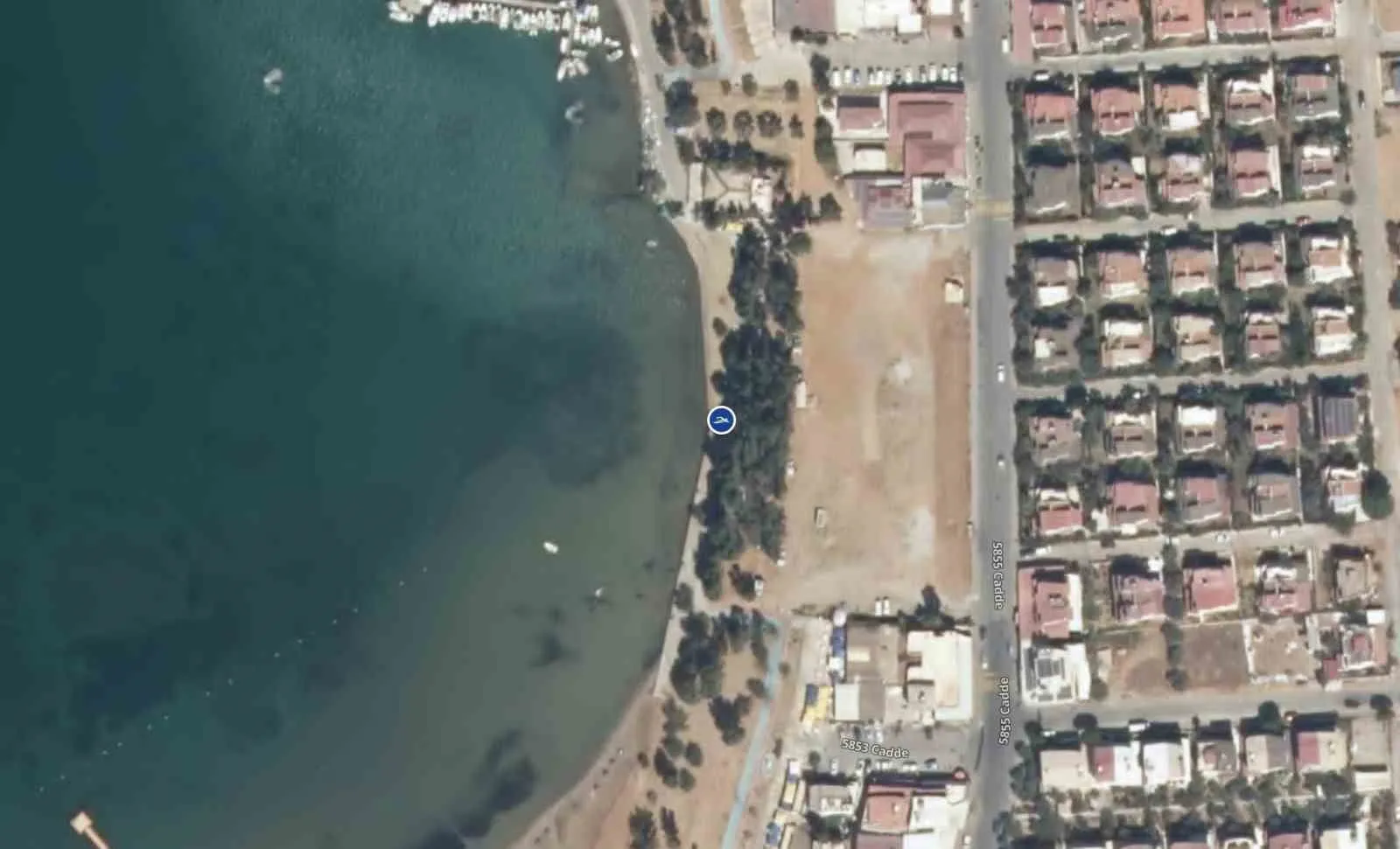 Didim sahillerinde temizlik tescillendi: Tatilciler gönül rahatlığıyla denize girebilir