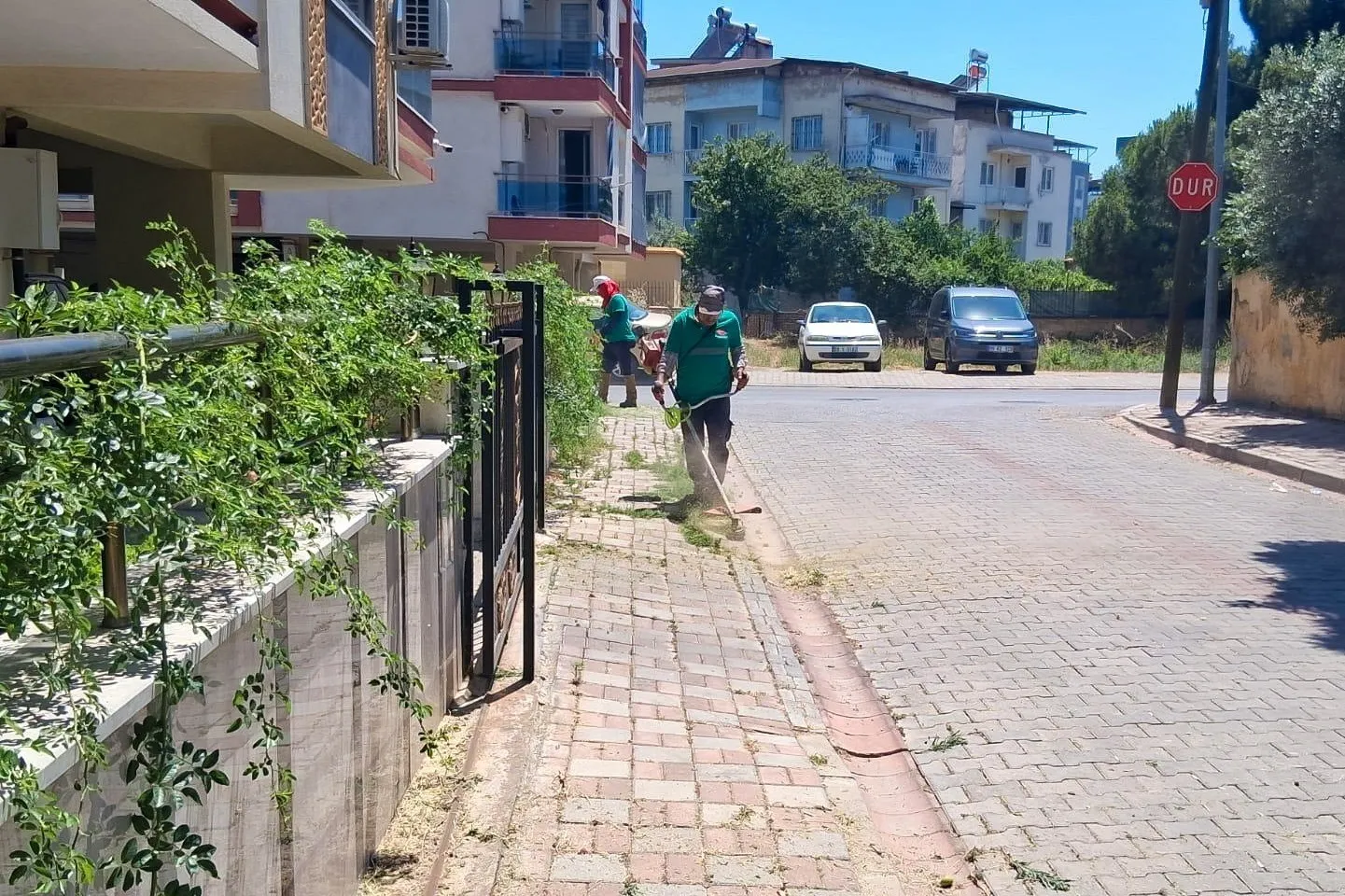 Efeler’de tertemiz bir gelecek için hummalı çalışma: Ekipler seferber oldu