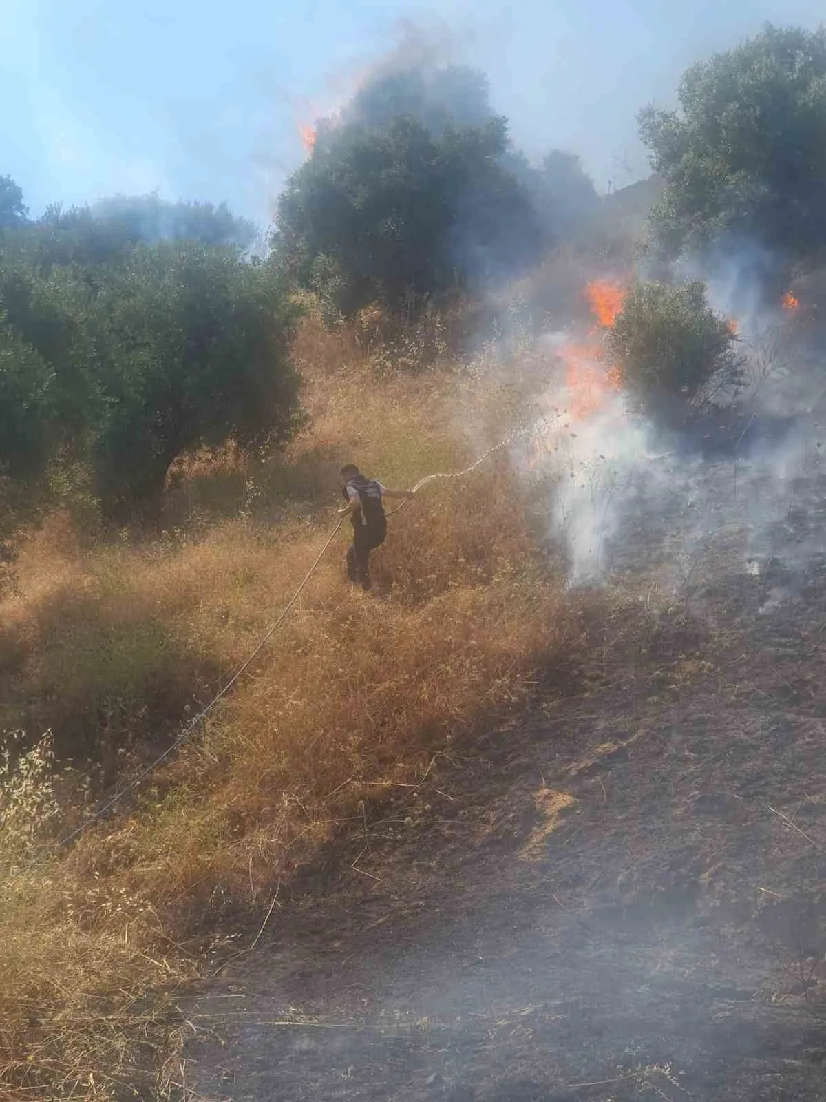 Bozyurt’ta alevlerle mücadele: Nazilli Belediyesi tüm imkanlarıyla sahada