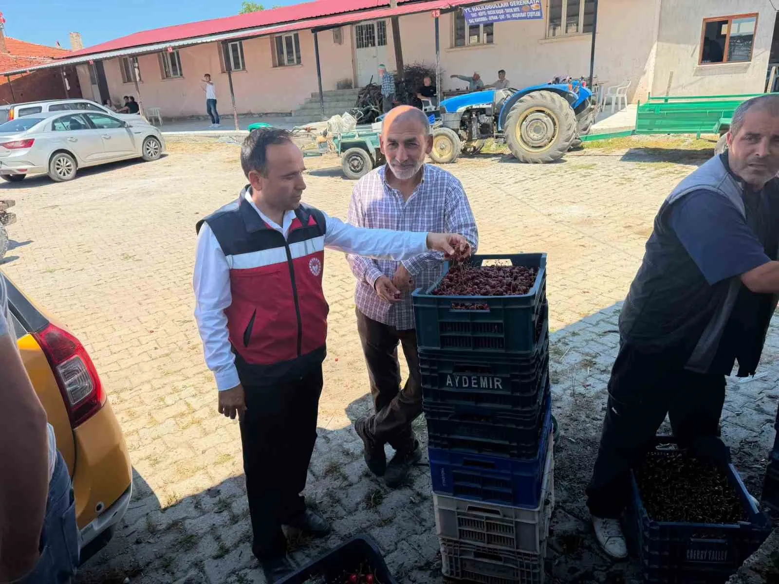 Simavlı kiraz üreticisinin gözü kulağı sahada: Müdürlükten kritik ziyaret