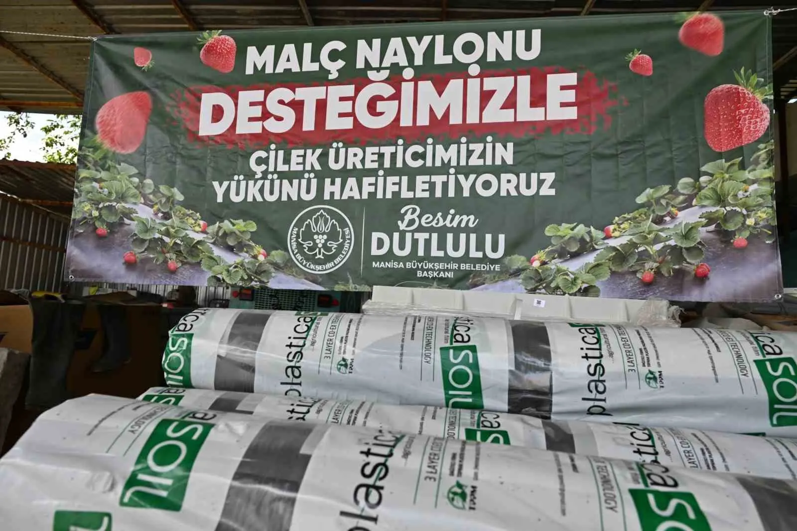 Manisa'da çilek tarlalarına bereket dokunuşu: Küçük üreticiye dev destek