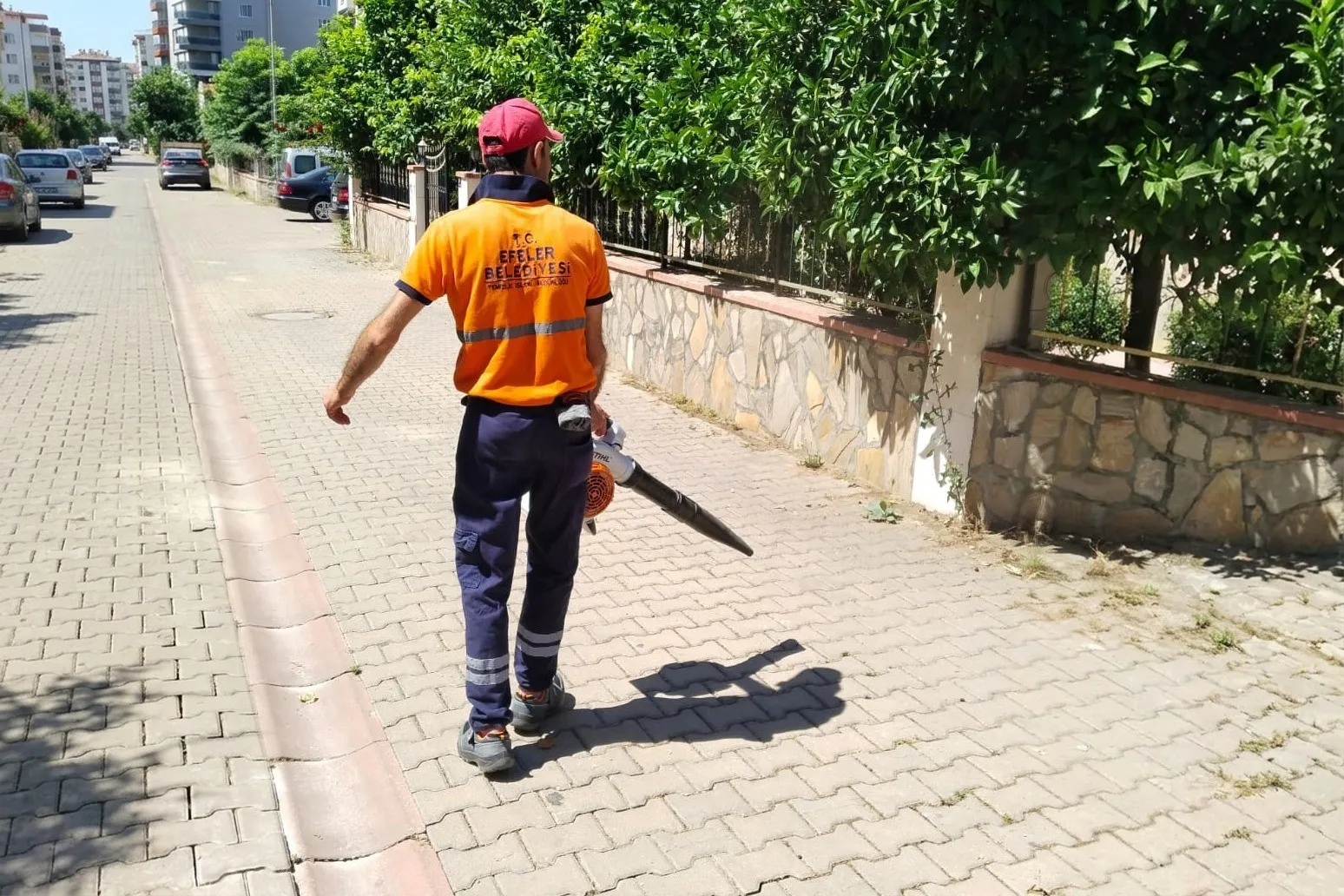 Efeler’de tertemiz bir gelecek için hummalı çalışma: Ekipler seferber oldu