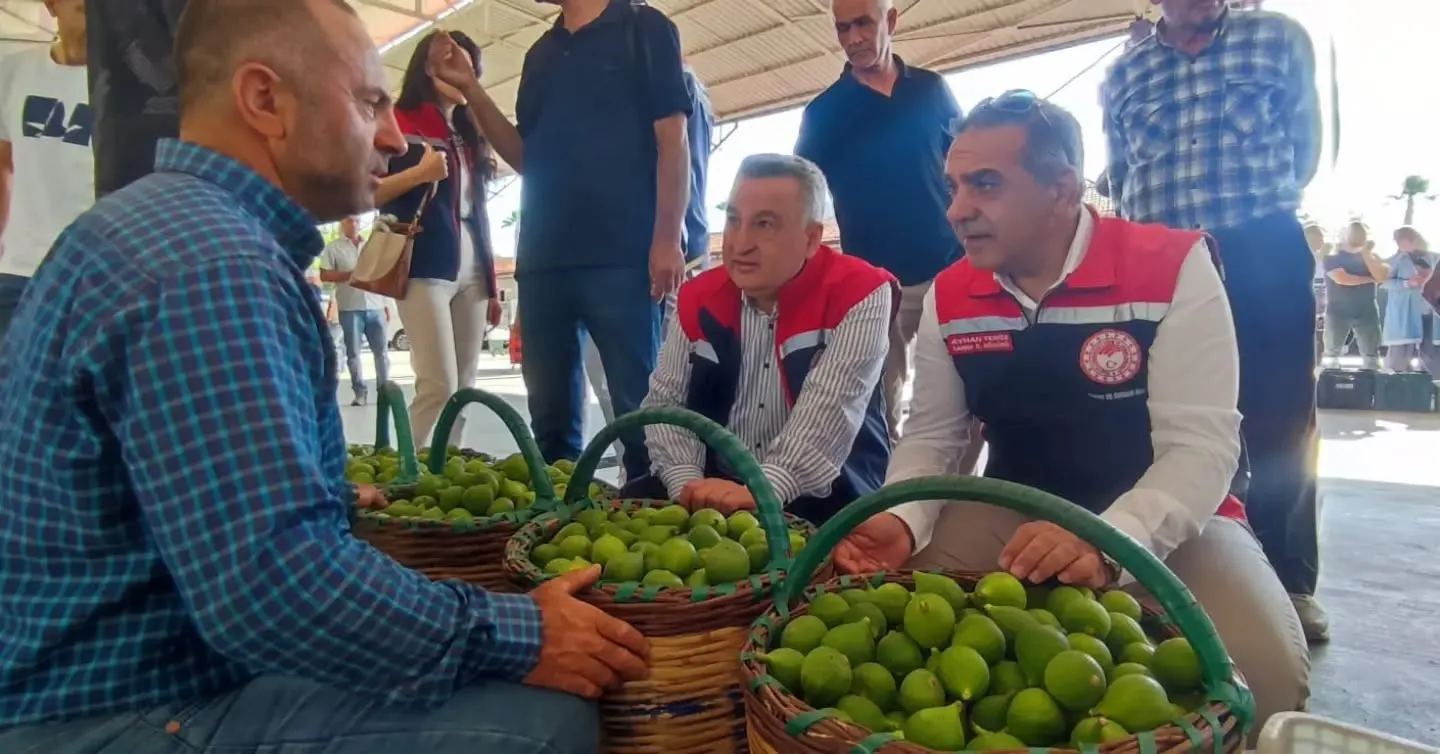 Aydın incirinde kaliteyi koruma mesaisi: İlek pazarları mercek altında