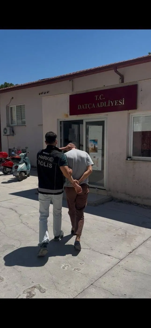 Datça’daki narkotik baskınında suçüstü: Hint keneviri serasına geçit yok