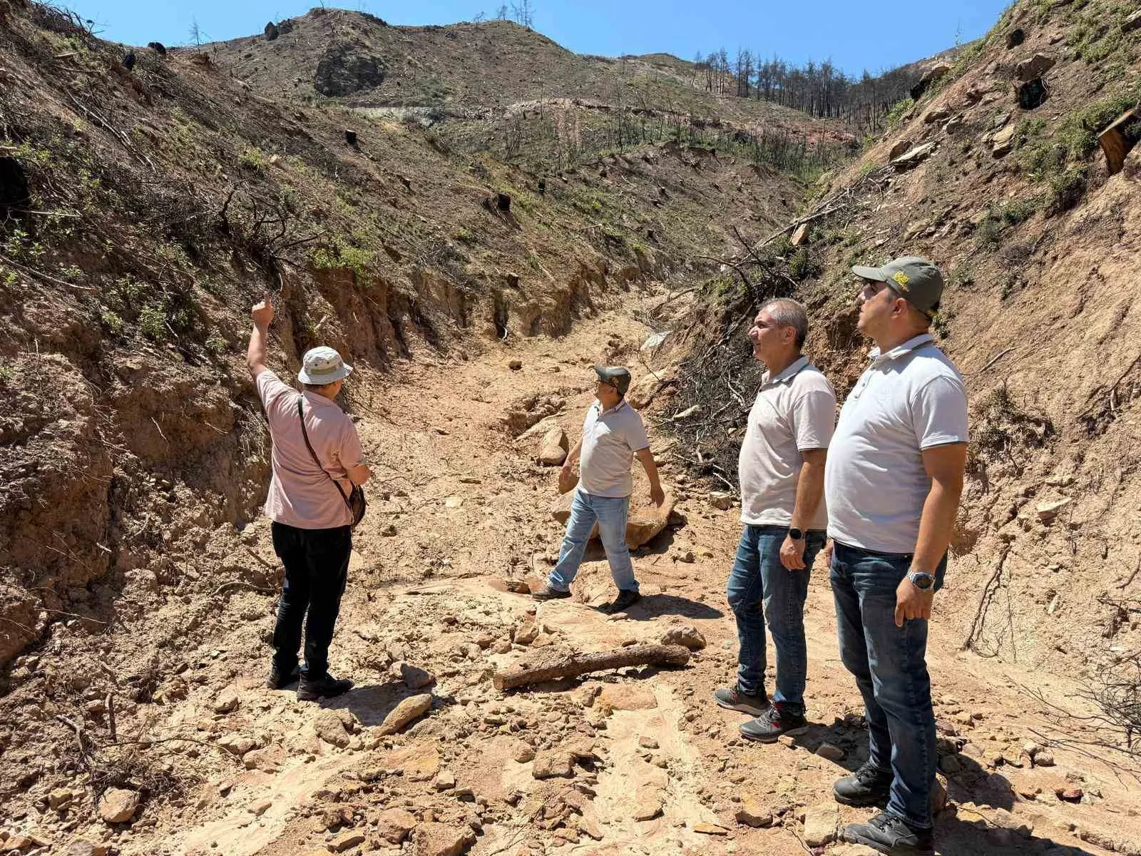 Buldan ormanlarında risk yönetimi dönemi: Kalıcı önlemler için saha incelemeleri başladı