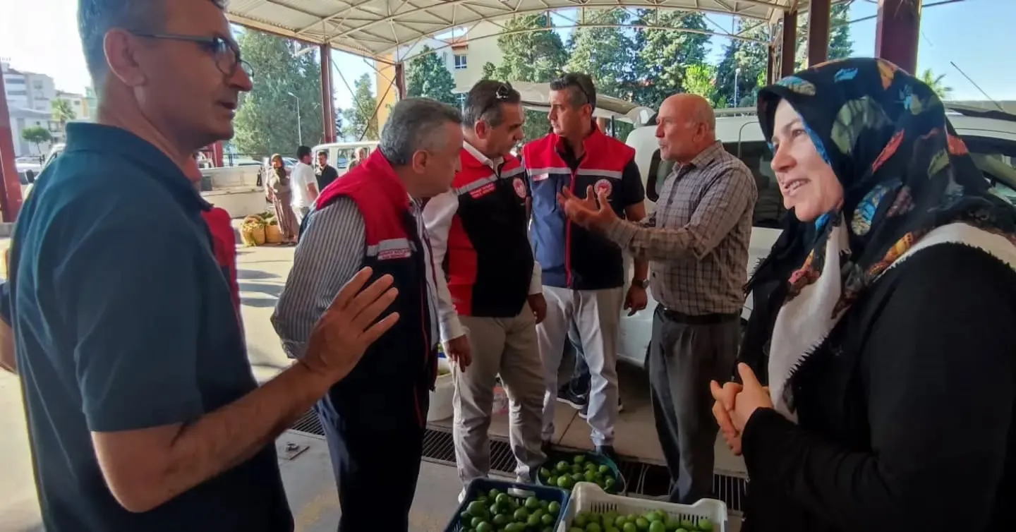 Aydın incirinde kaliteyi koruma mesaisi: İlek pazarları mercek altında