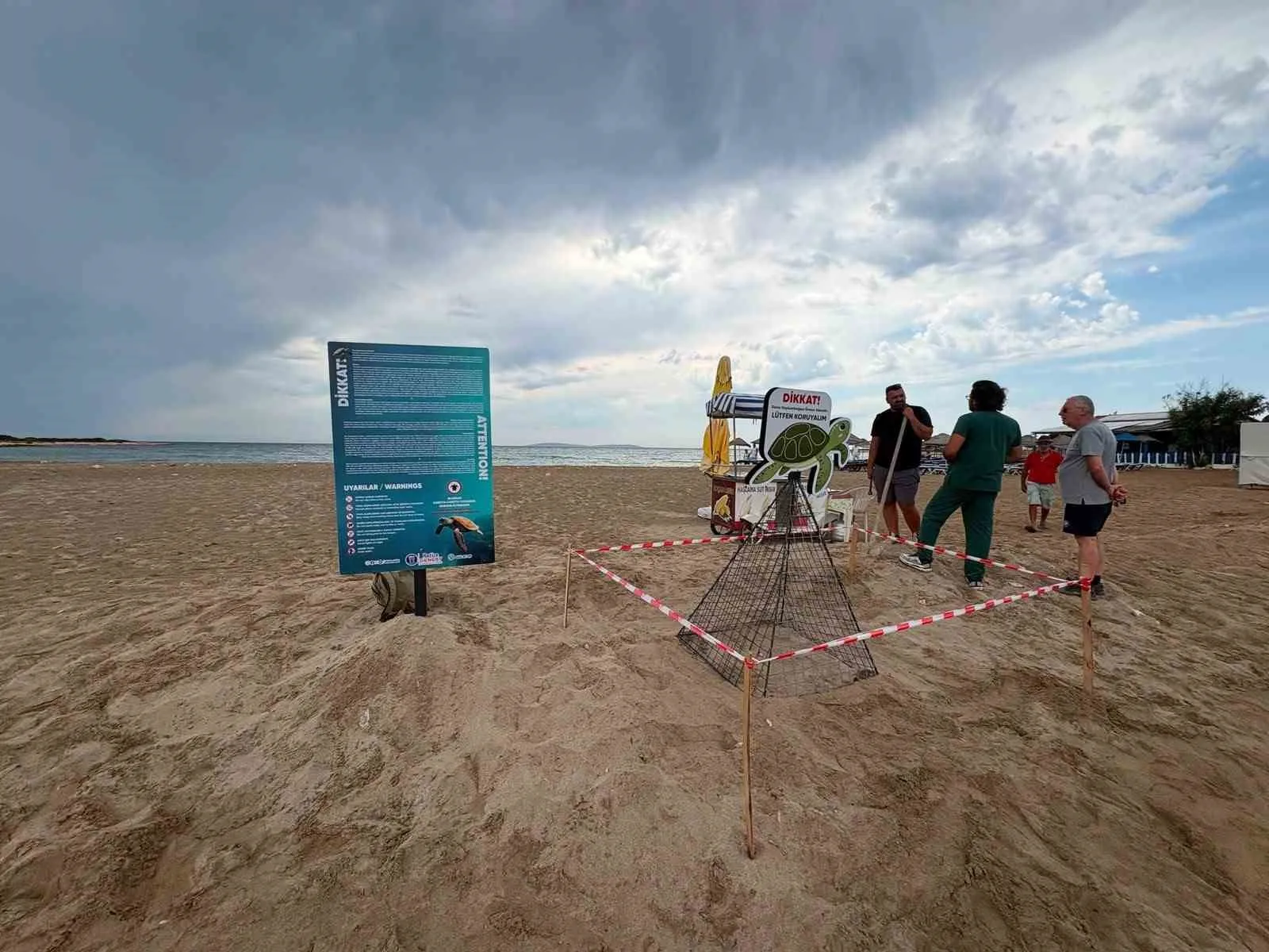 Didim’de gece operasyonu: Çakalların hedefi olan caretta carettayı belediye ekipleri kurtardı