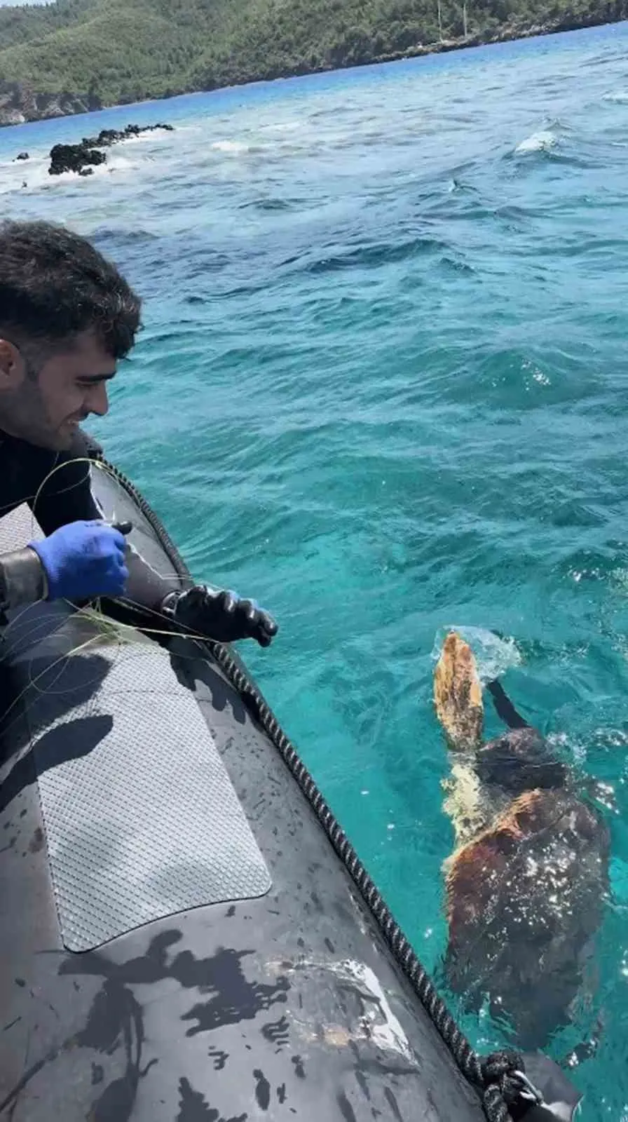 Gökova’da ölümcül ağlara takılan kaplumbağa için seferber oldular