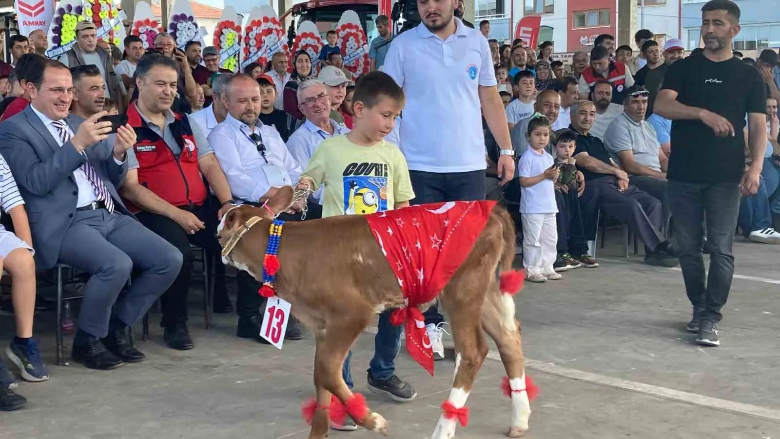 Sultandağı'nda heyecanlı bekleyiş: Şampiyon buzağı sahibini buldu