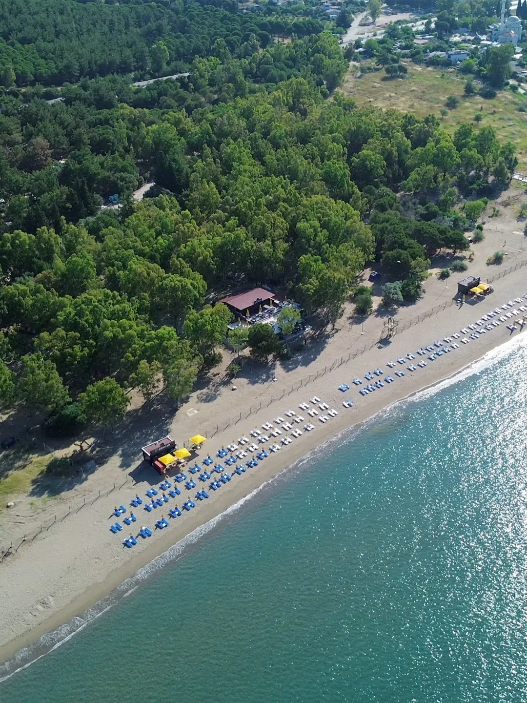 İzmirli doğaseverlerin beklediği haber geldi: Gümüldür’de yeni dönem başladı