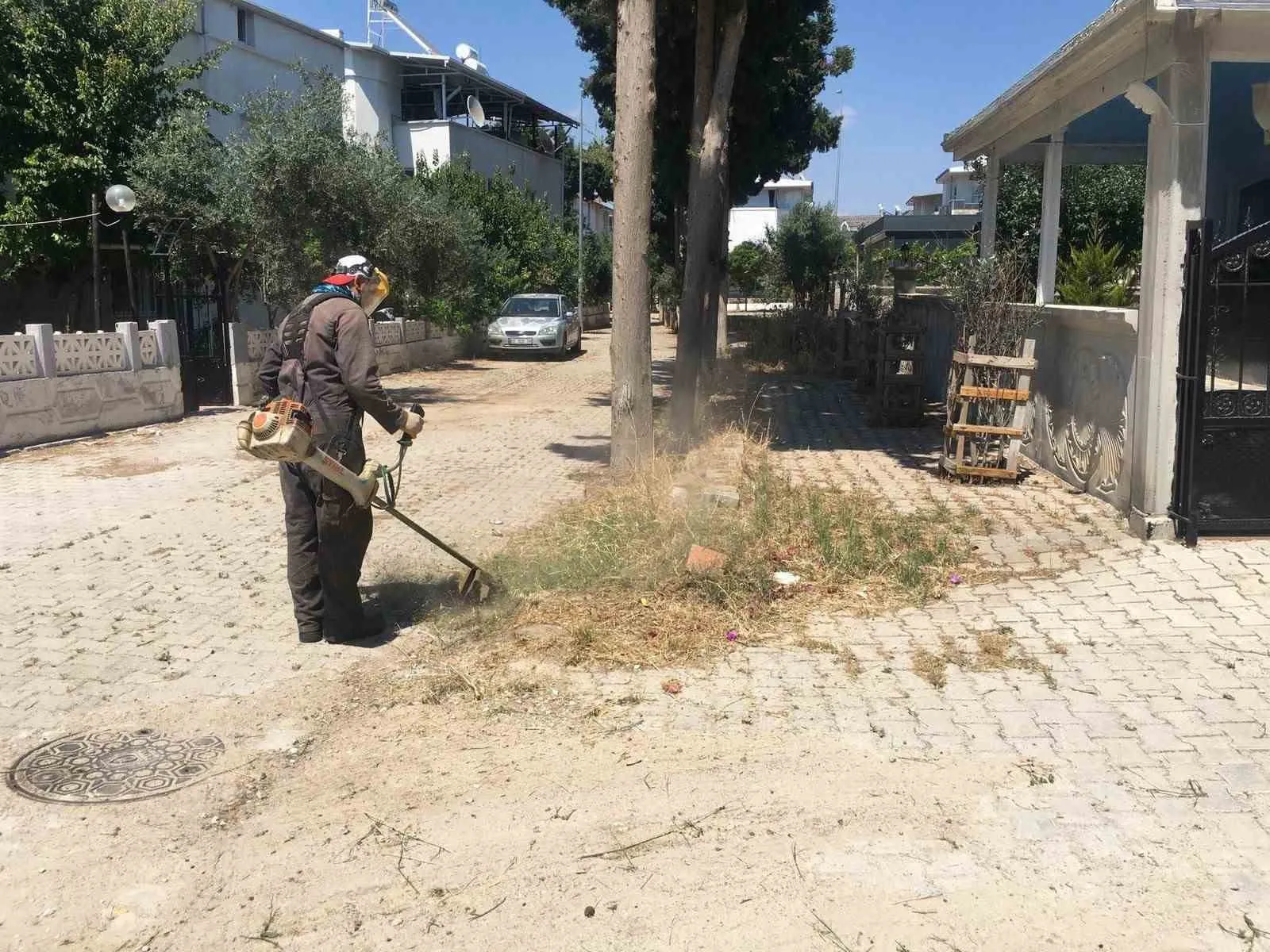 Didim'de yeşil alanlara estetik dokunuş: Başkan Gençay'dan temizlik seferberliği