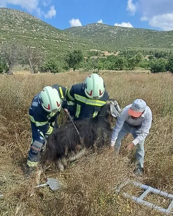 Garipköy’de kuyu paniği: Çobanın imdadına itfaiye yetişti