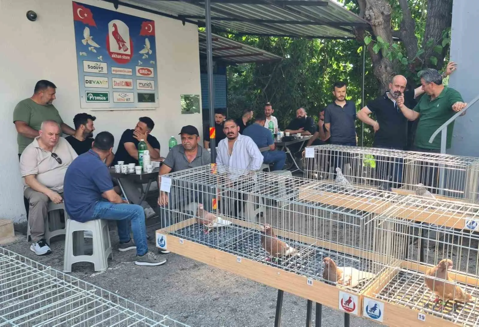 Denizli'nin yaşayan antik mirası: Tokur güvercinleri podyumda rüzgar estirdi