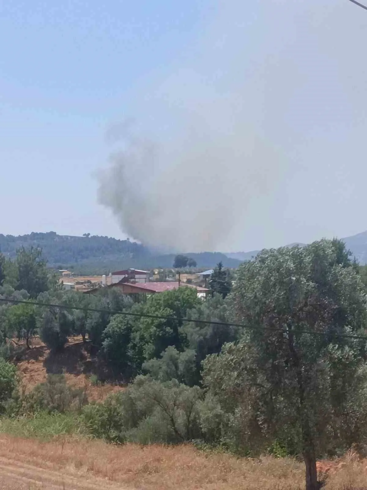 Seydikemer’de ormanlık alanda korkutan yangın: Ekipler seferber oldu