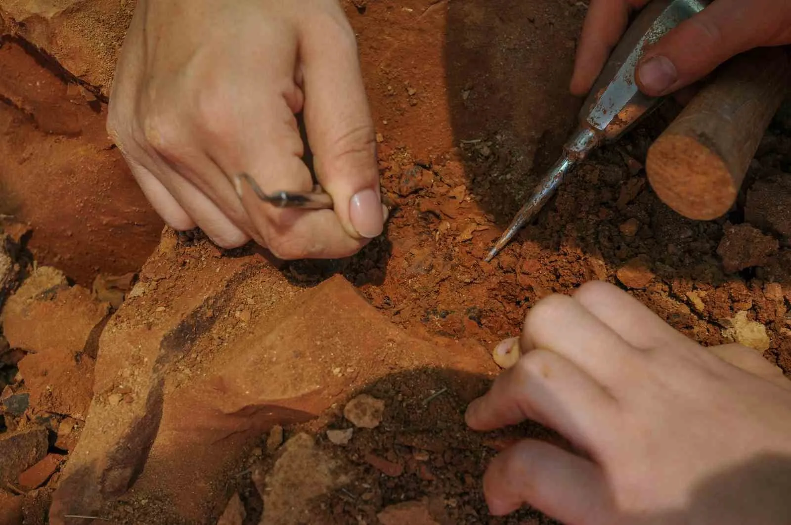 Milyonlarca yıllık sessizlik bozuldu: Tavas’ta tarih yeniden yazılıyor